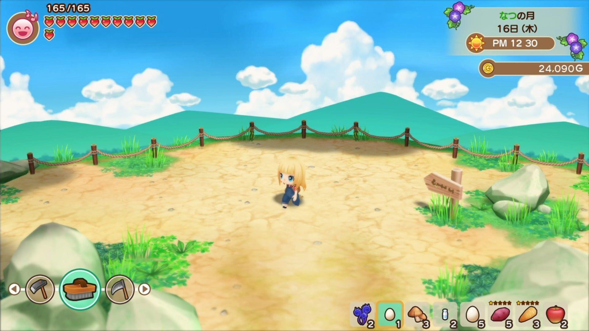Story of Seasons: Friends of Mineral Town - główny screenshot z gry