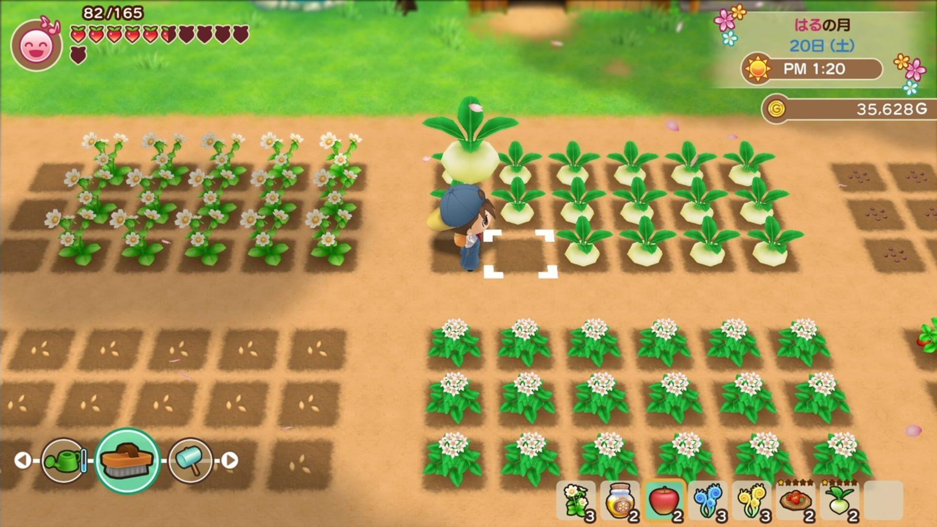 Story of Seasons: Friends of Mineral Town - gameplay screenshot