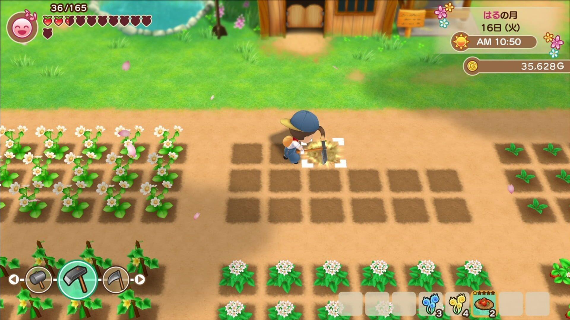 Story of Seasons: Friends of Mineral Town - akcja w grze