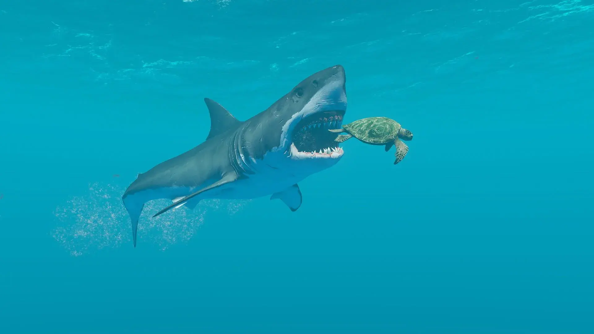 Stranded Deep (PS5) - świat gry, lokacja