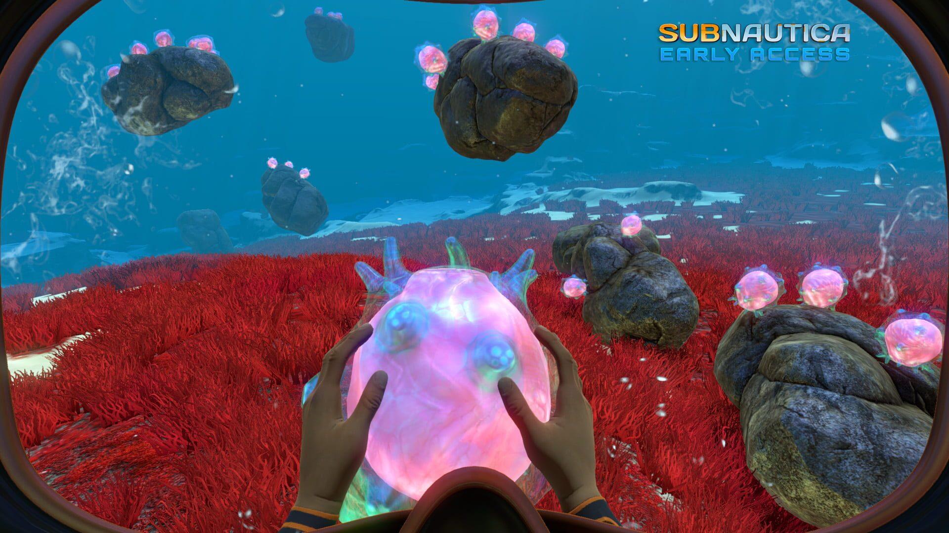 Subnautica - główny screenshot z gry