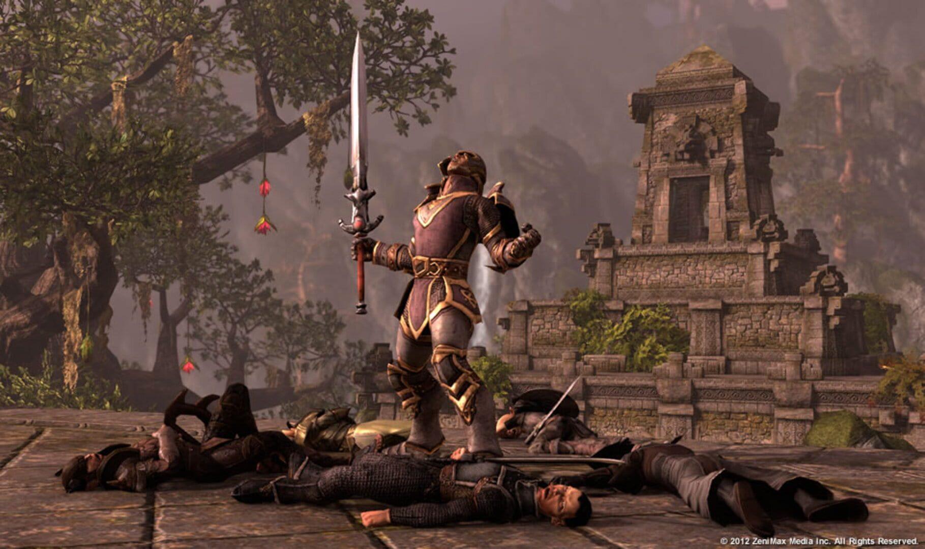 The Elder Scrolls Online - gameplay screenshot