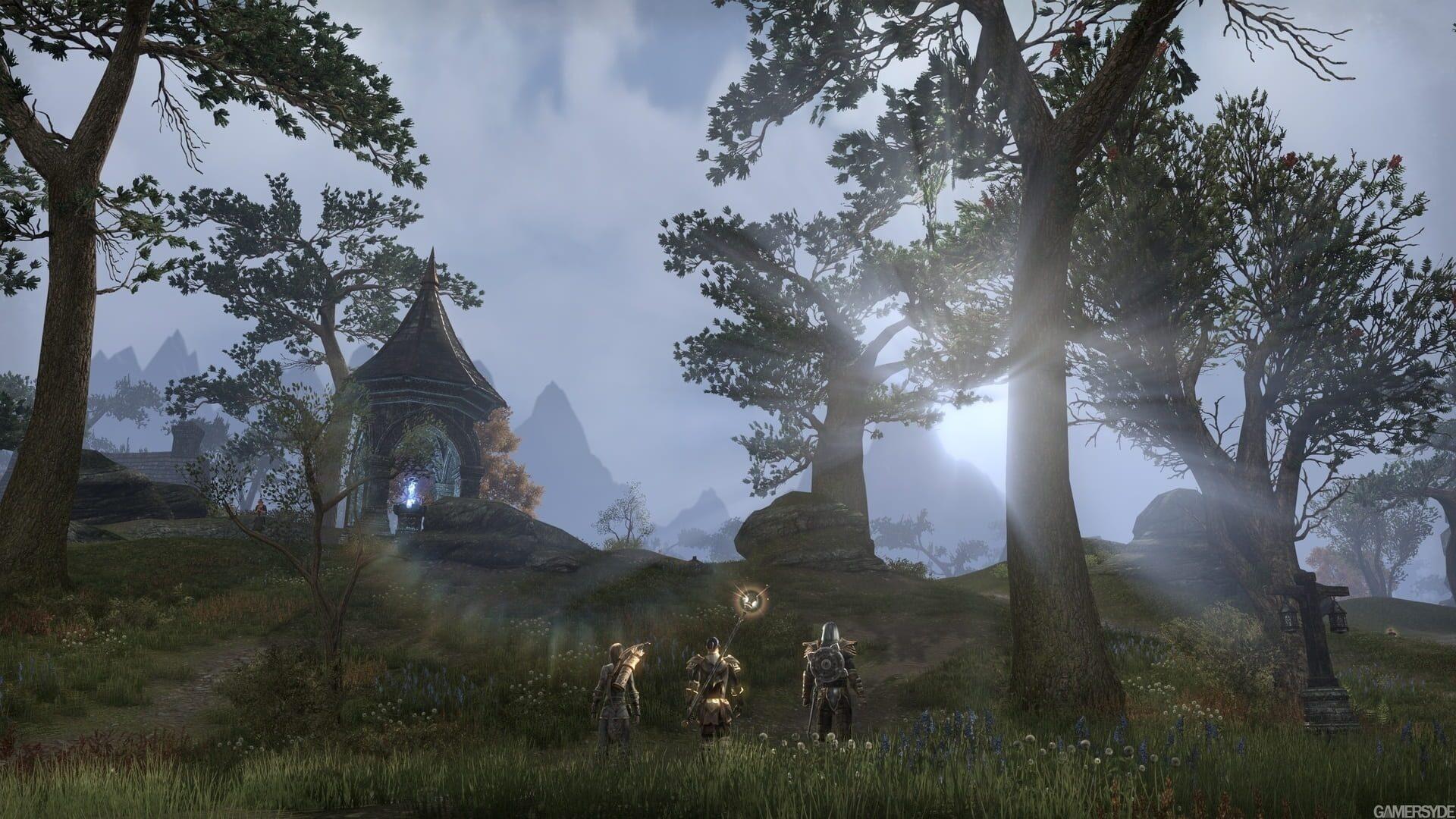 The Elder Scrolls Online - akcja w grze