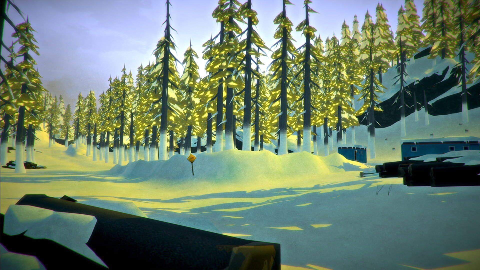 The Long Dark - akcja w grze