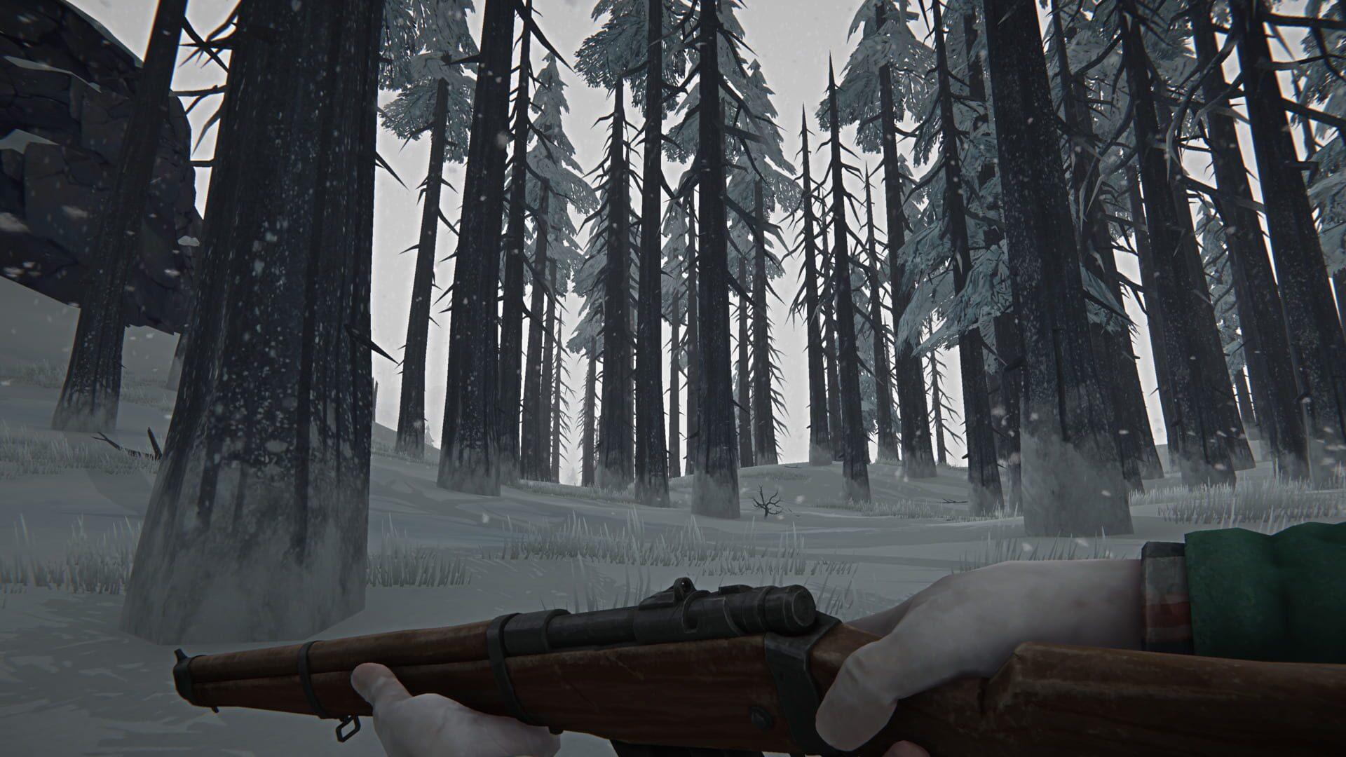 The Long Dark (PS5) - screenshot wysokiej jakości