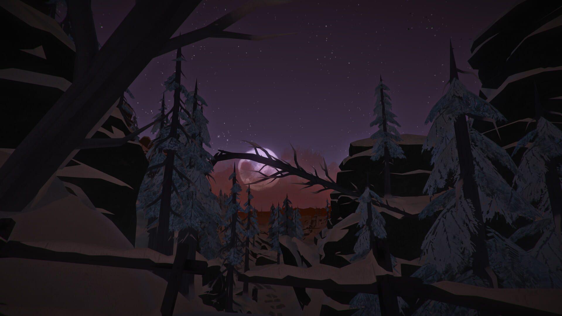 The Long Dark (Switch) - świat gry, lokacja