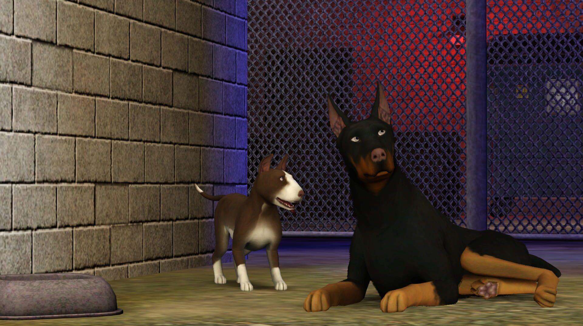 The Sims 3: Pets - świat gry, lokacja
