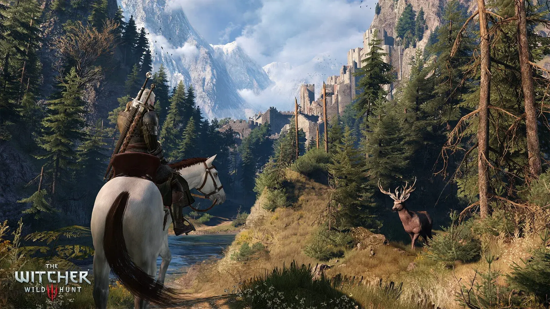 The Witcher 3: Wild Hunt - gameplay screenshot