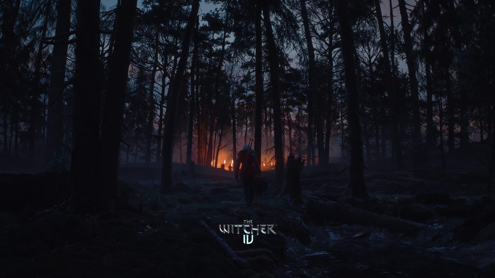 The Witcher IV - obrazek z gry
