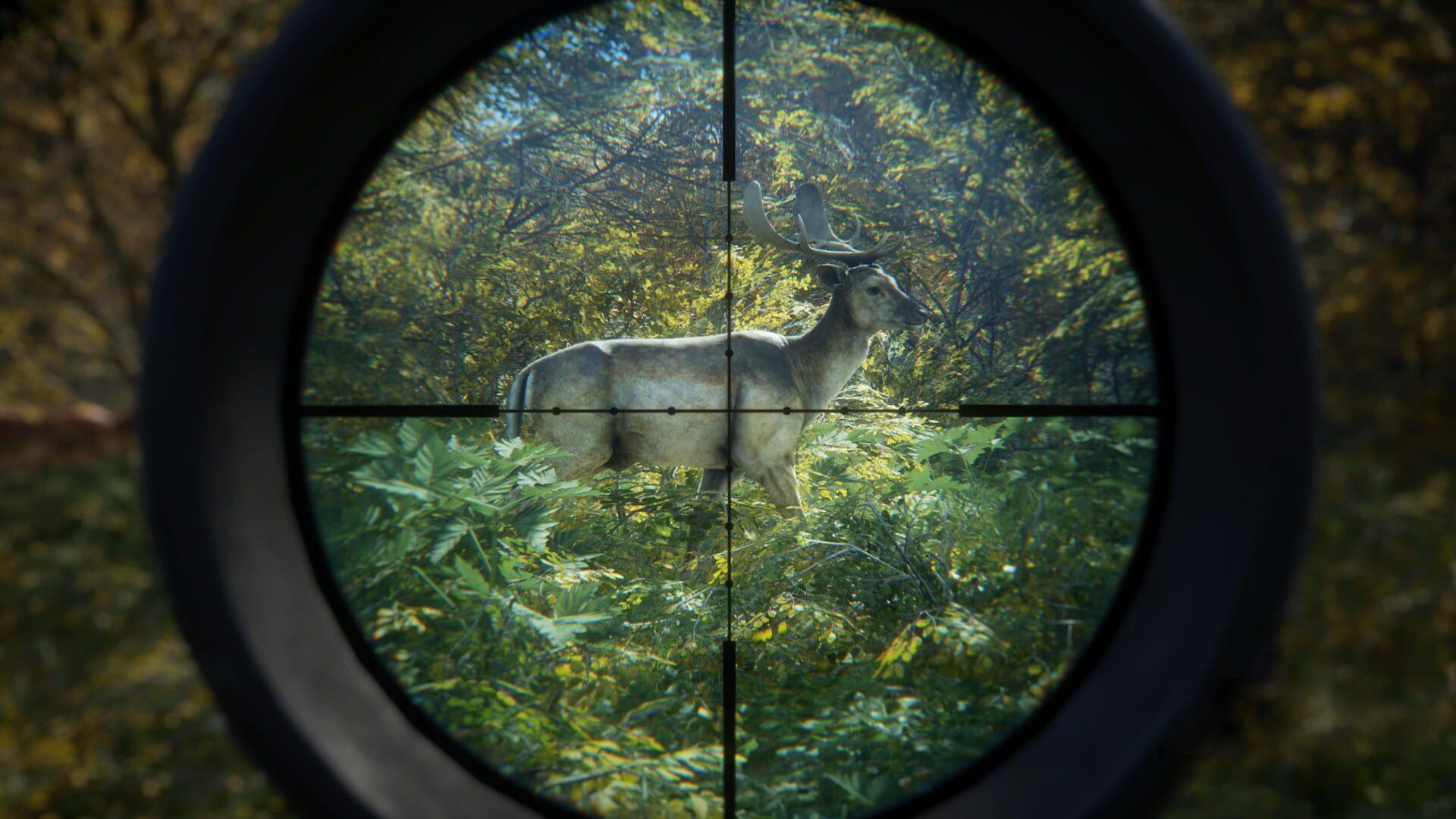 TheHunter: Call of the Wild - screenshot wysokiej jakości