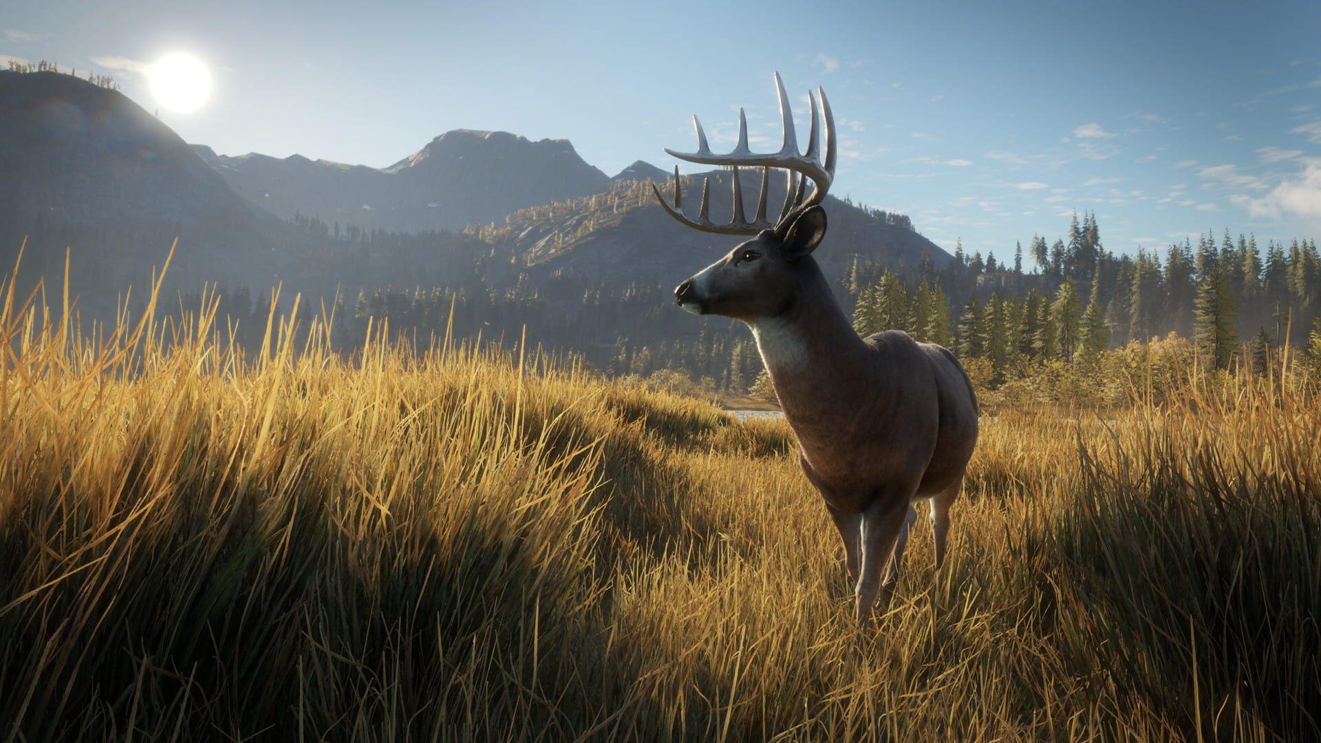 TheHunter: Call of the Wild - obrazek z gry