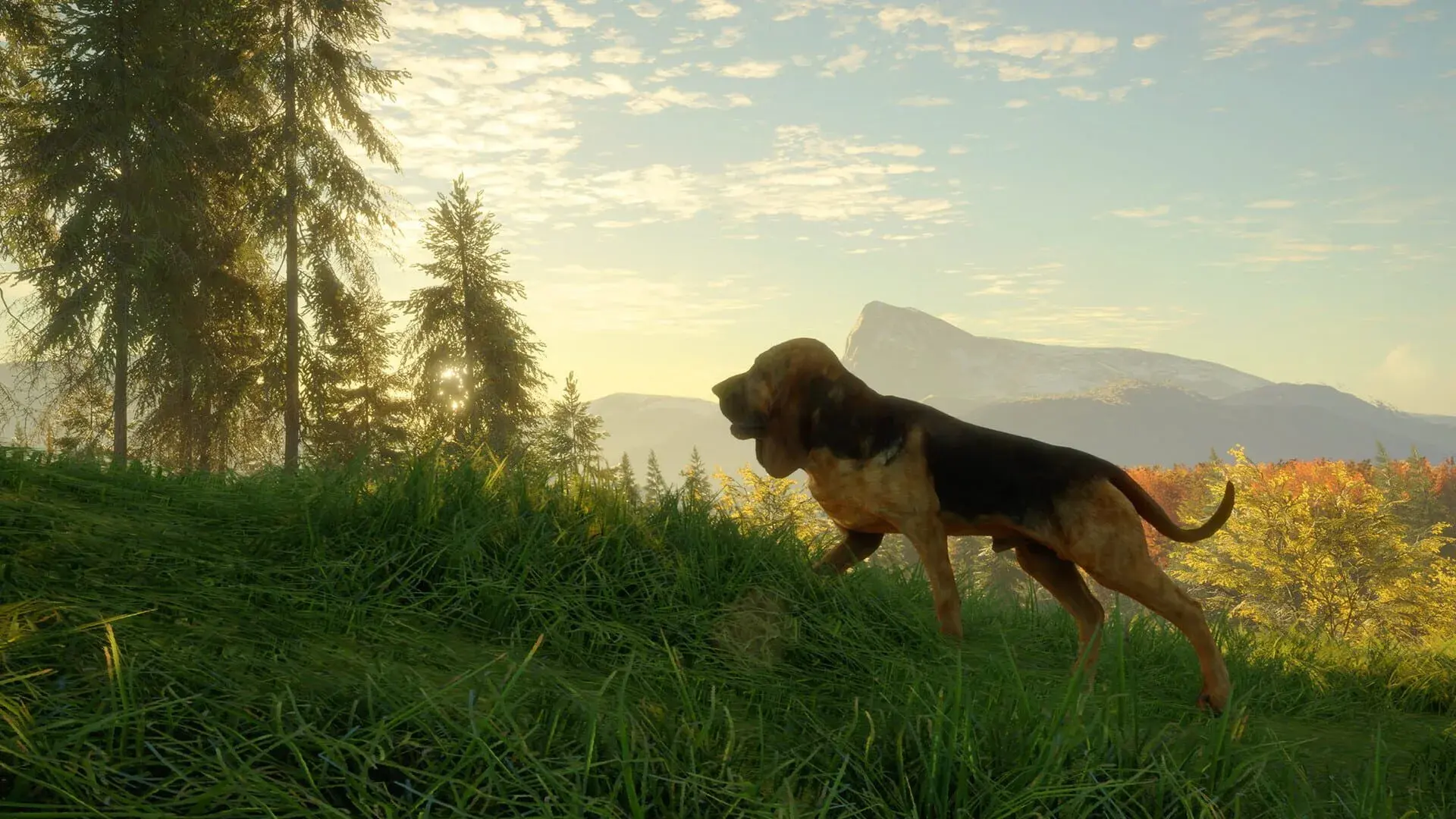 TheHunter: Call of the Wild - Bloodhound - główny screenshot z gry