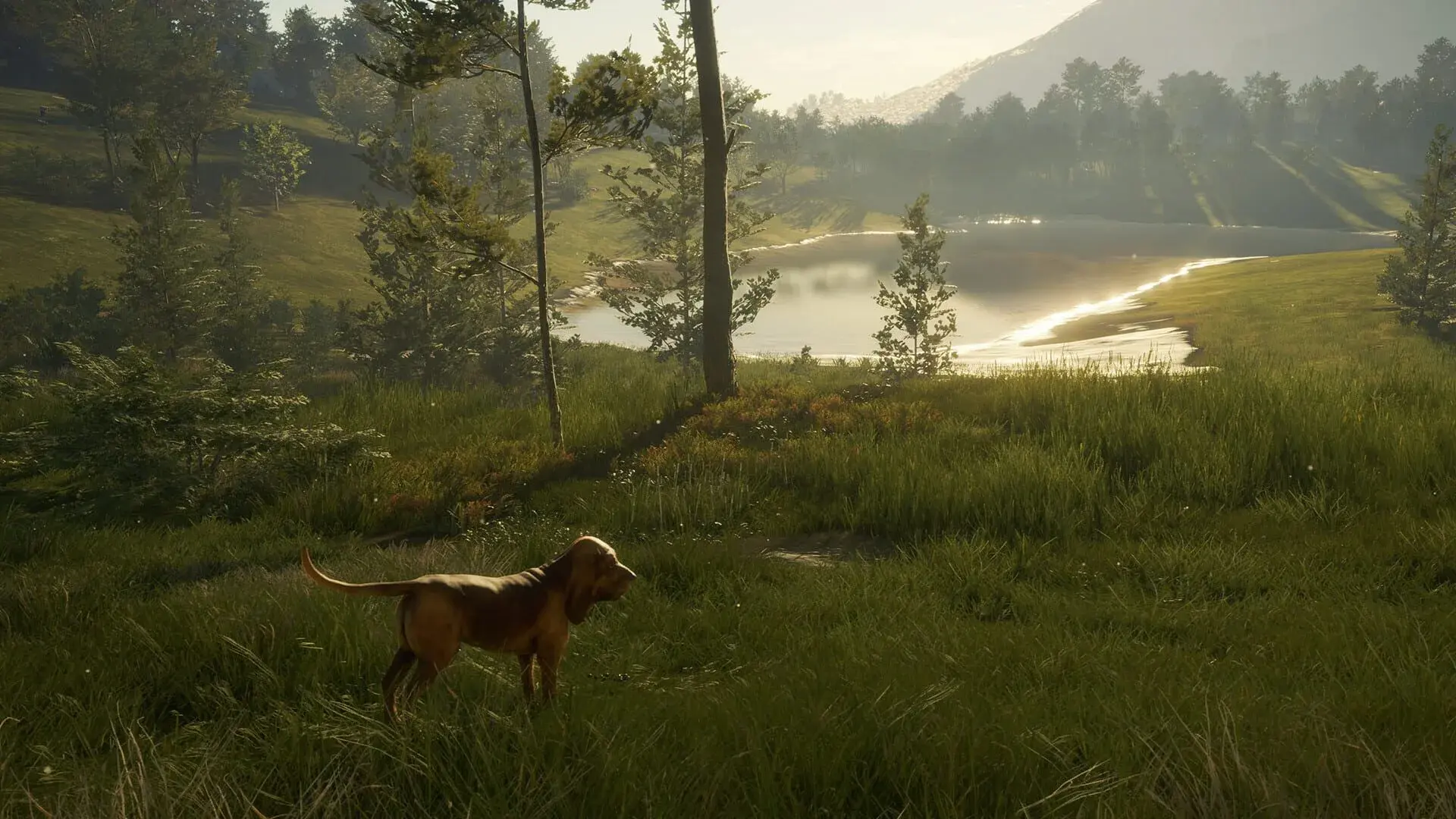 TheHunter: Call of the Wild - Bloodhound - gameplay screenshot