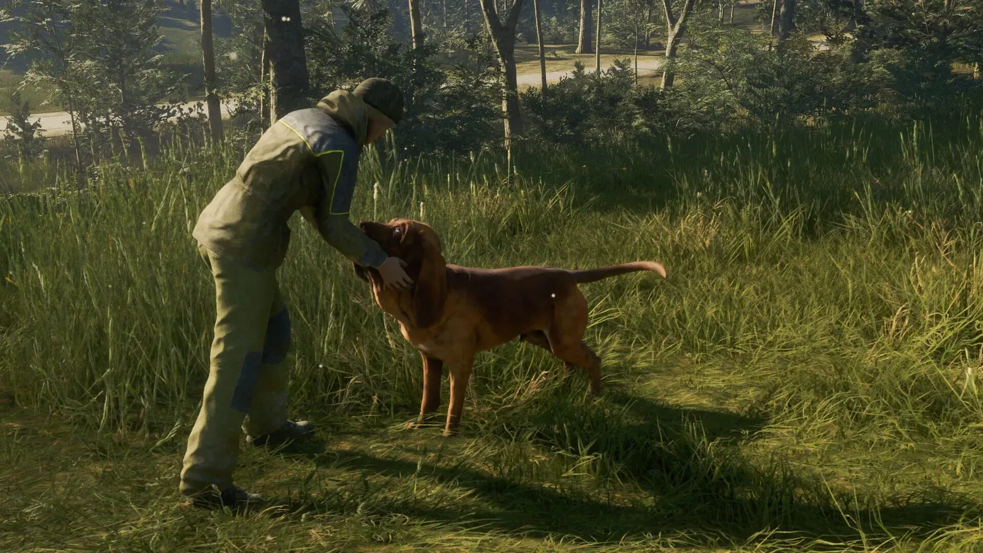 TheHunter: Call of the Wild - Bloodhound - akcja w grze