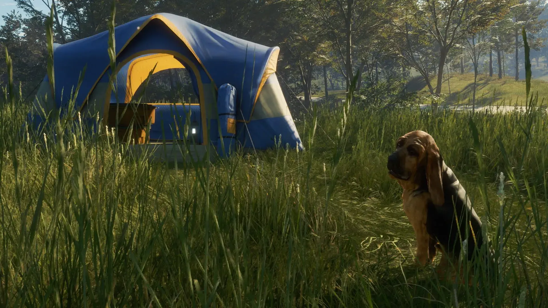 TheHunter: Call of the Wild - Bloodhound - obrazek z gry
