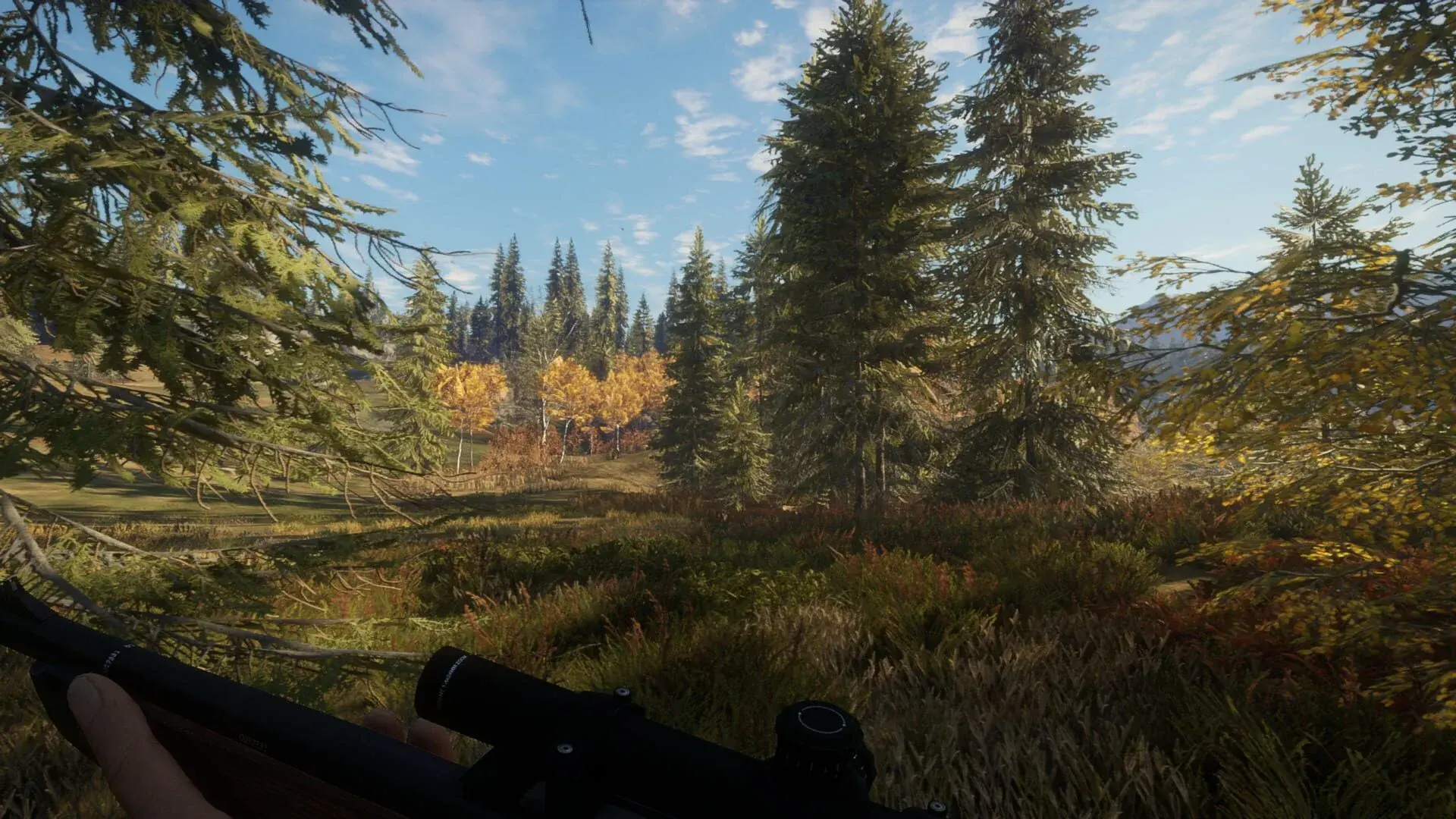 TheHunter: Call of the Wild (PS5) - główny screenshot z gry
