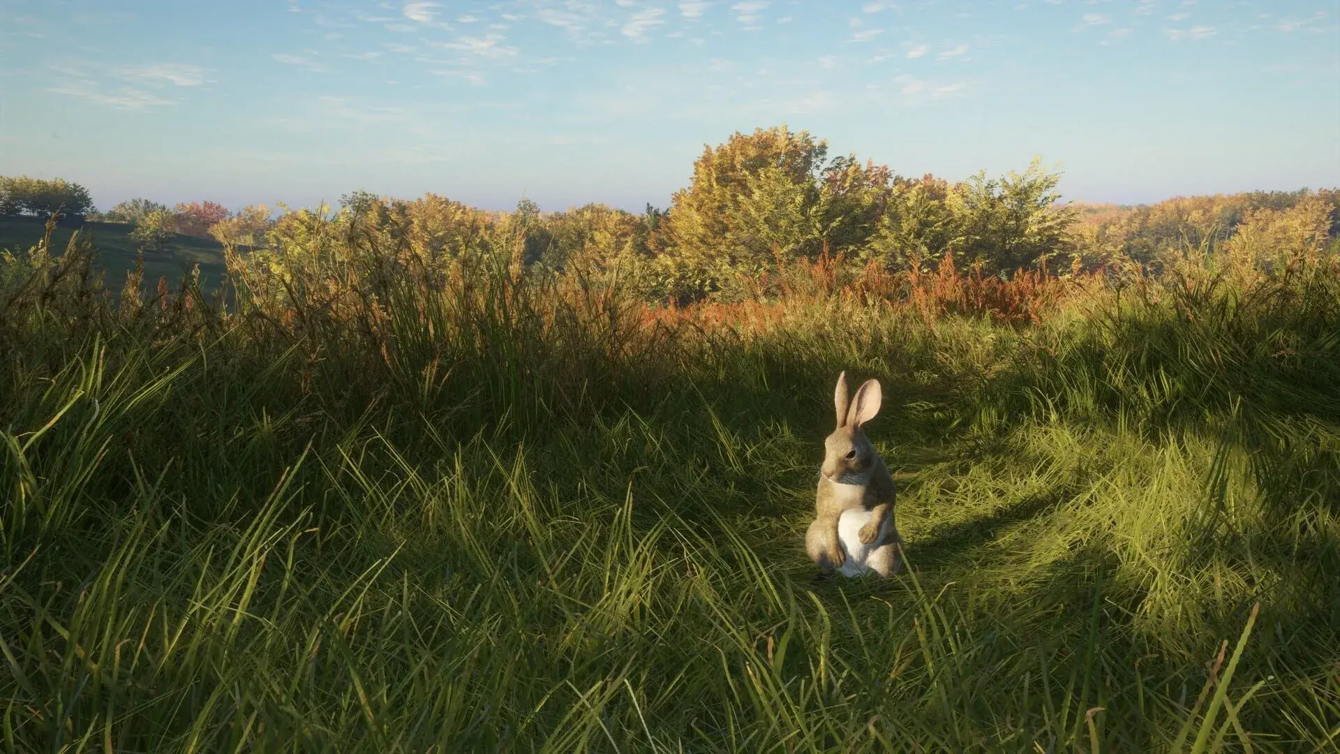 TheHunter: Call of the Wild - Salzwiesen Park - gameplay screenshot