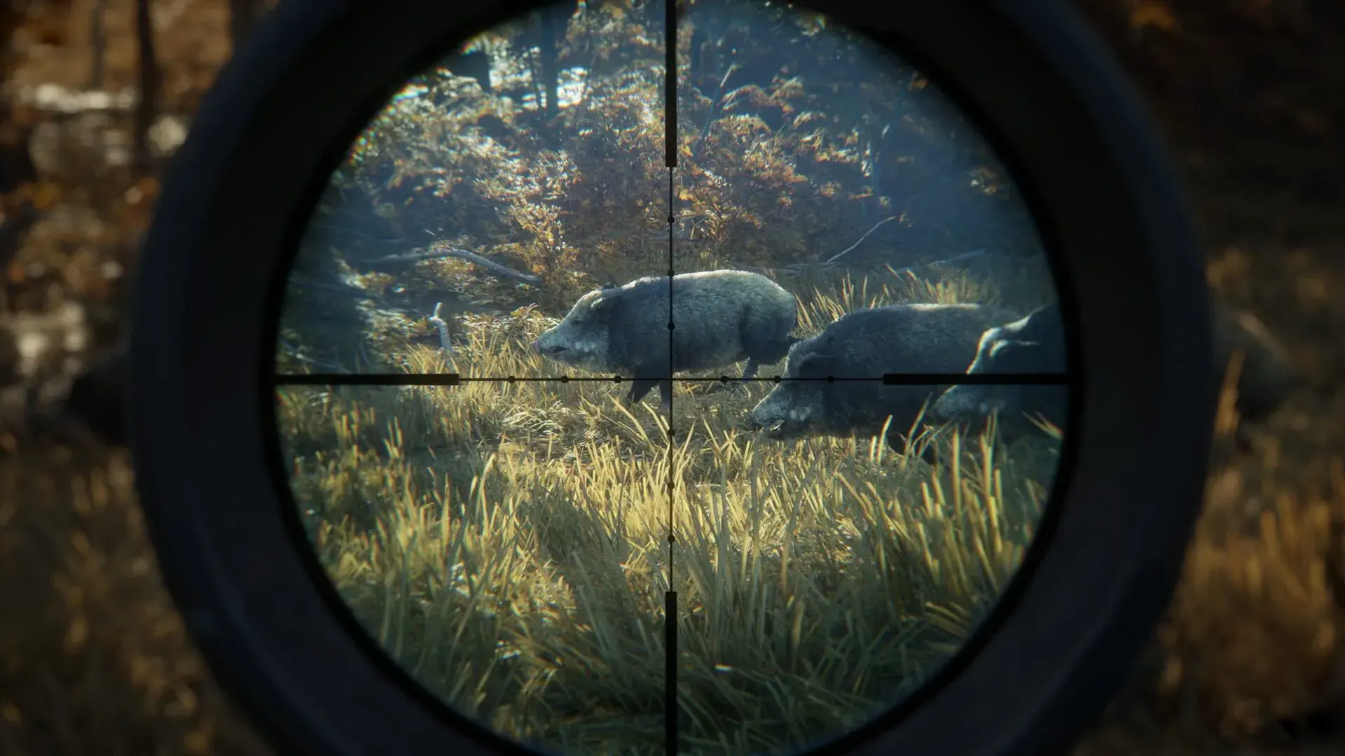 TheHunter: Call of the Wild (Xbox Series & PC) - główny screenshot z gry