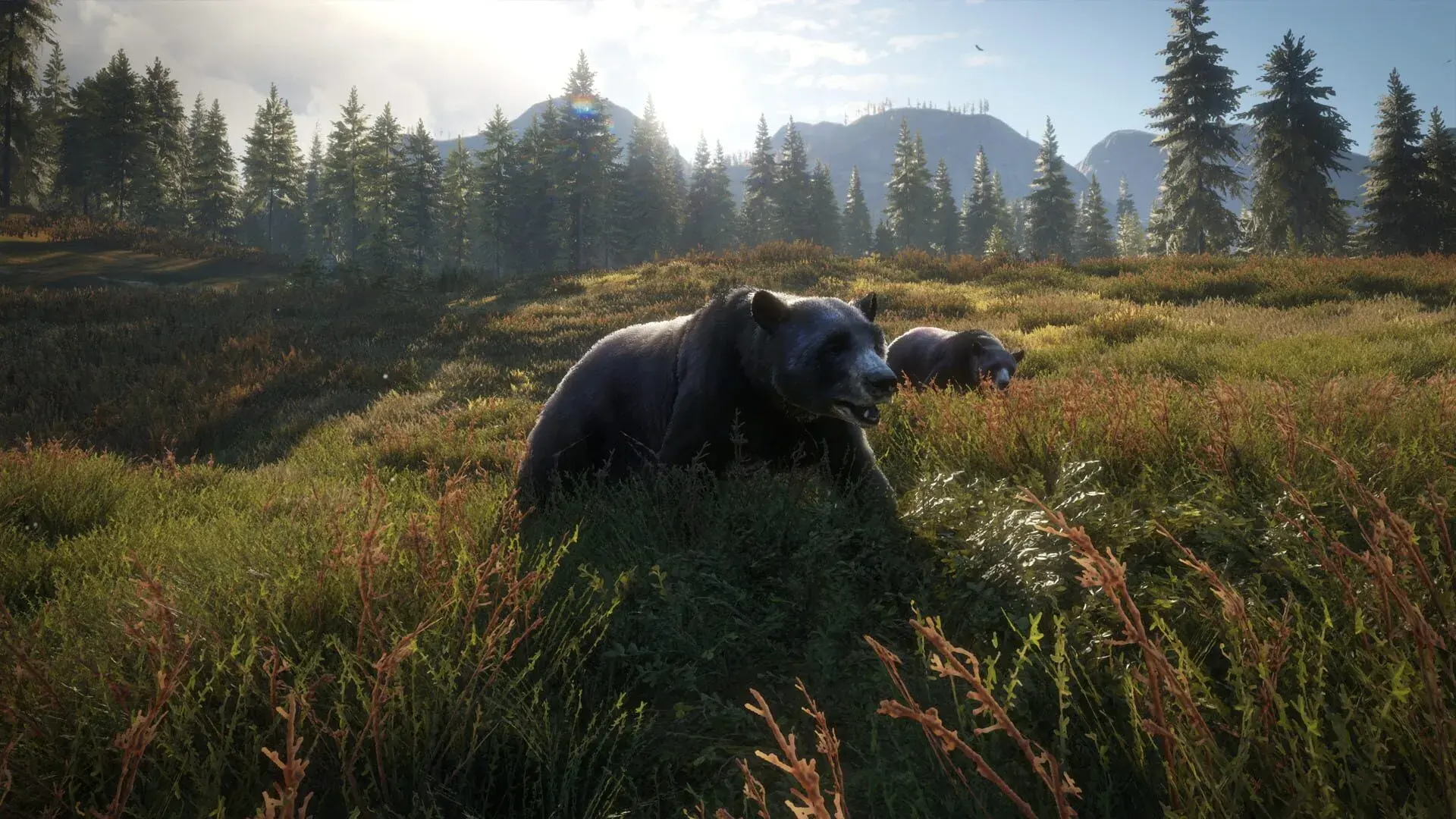 TheHunter: Call of the Wild (Xbox Series & PC) - akcja w grze