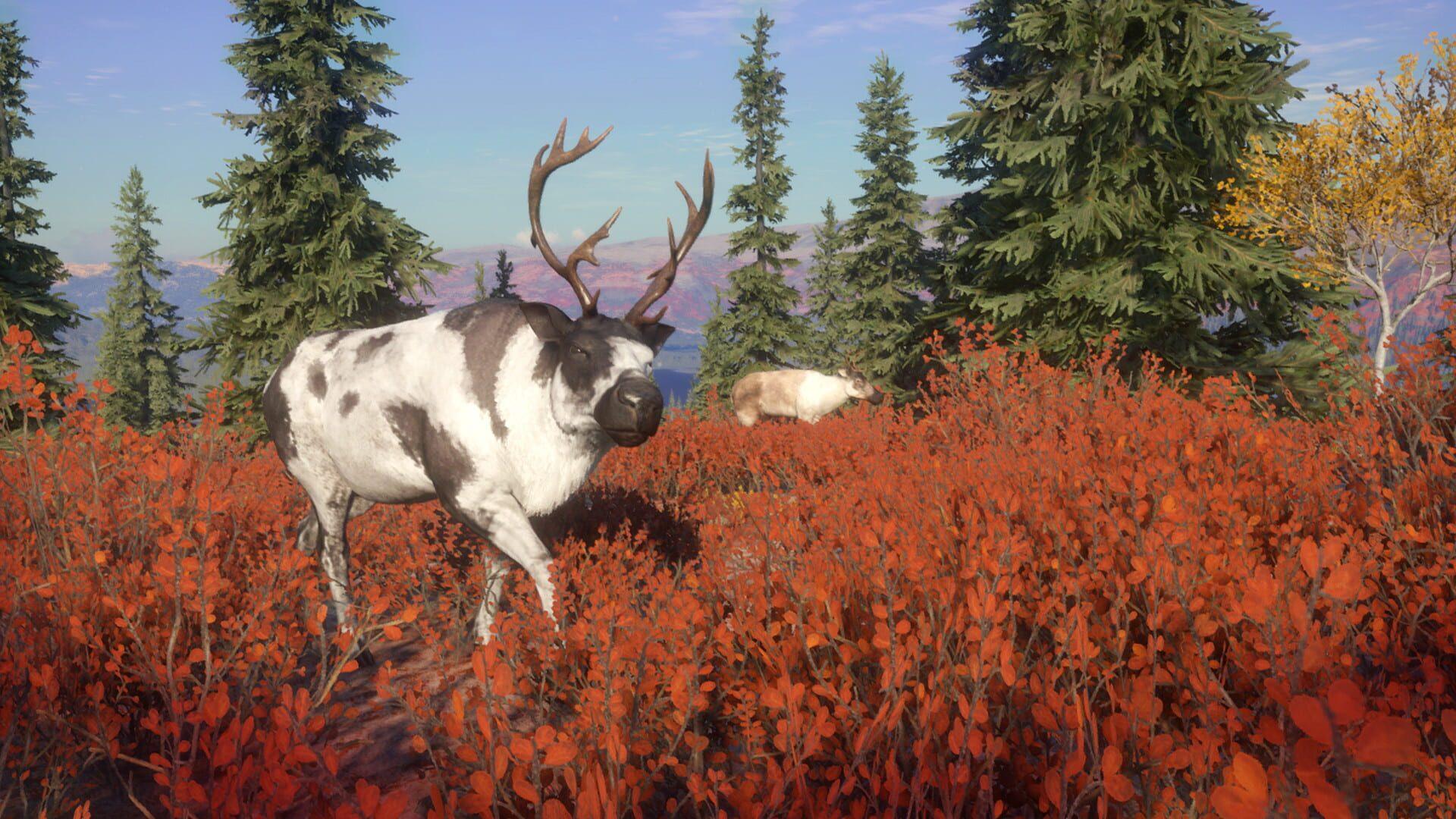 TheHunter: Call of the Wild - Yukon Valley - główny screenshot z gry