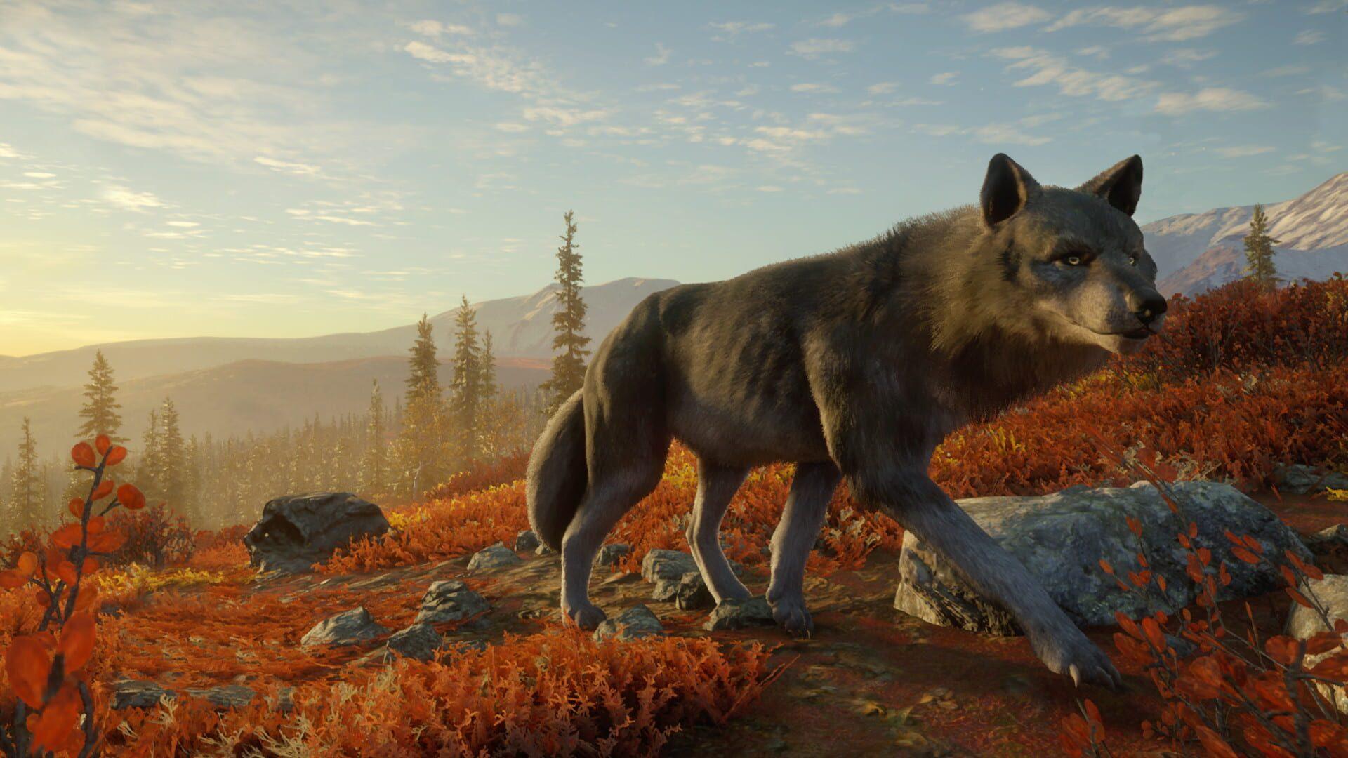 TheHunter: Call of the Wild - Yukon Valley - obrazek z gry