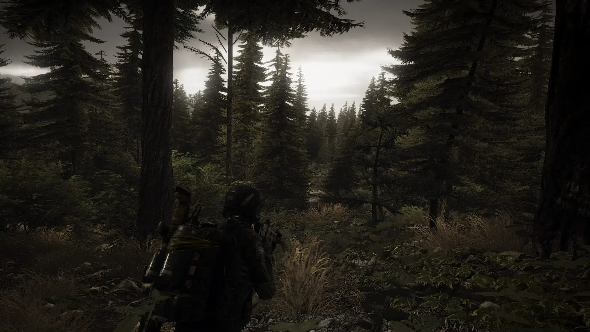Tom Clancy's Ghost Recon: Wildlands - świat gry, lokacja