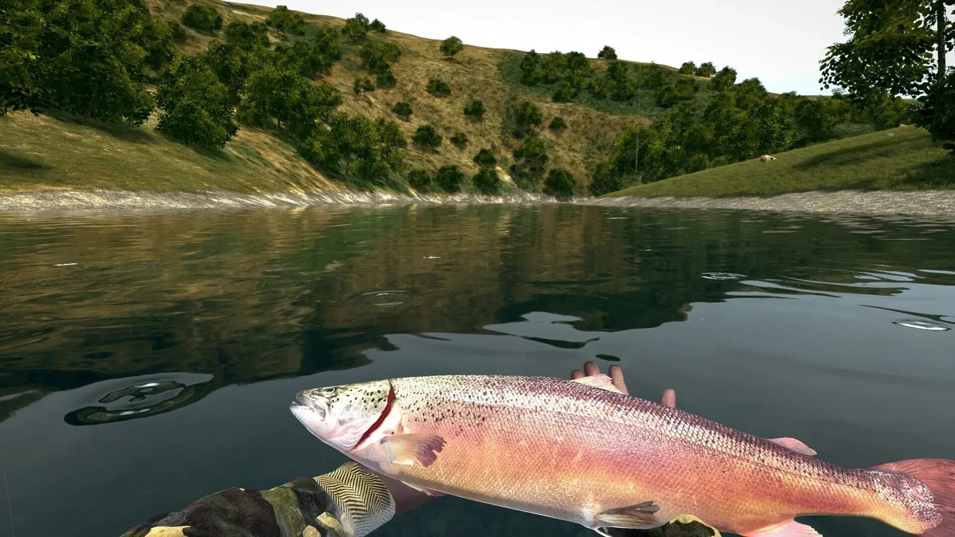 Ultimate Fishing Simulator (PS5) - obrazek z gry