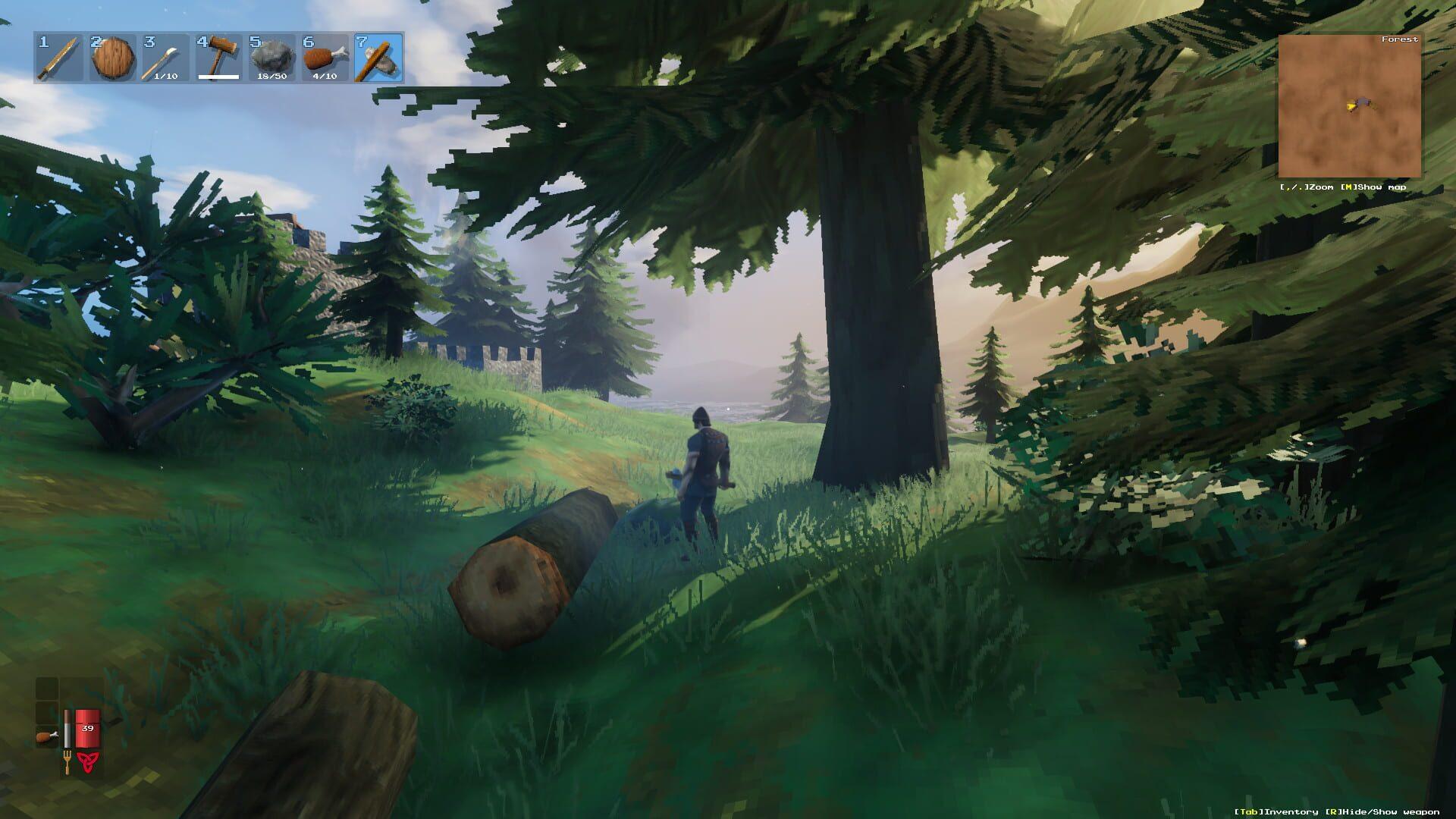 Valheim (Xbox Series & PC) - świat gry, lokacja