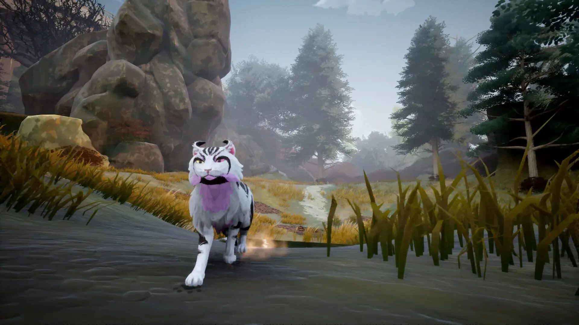 Warrior Cats: Clans of the Forest - świat gry, lokacja