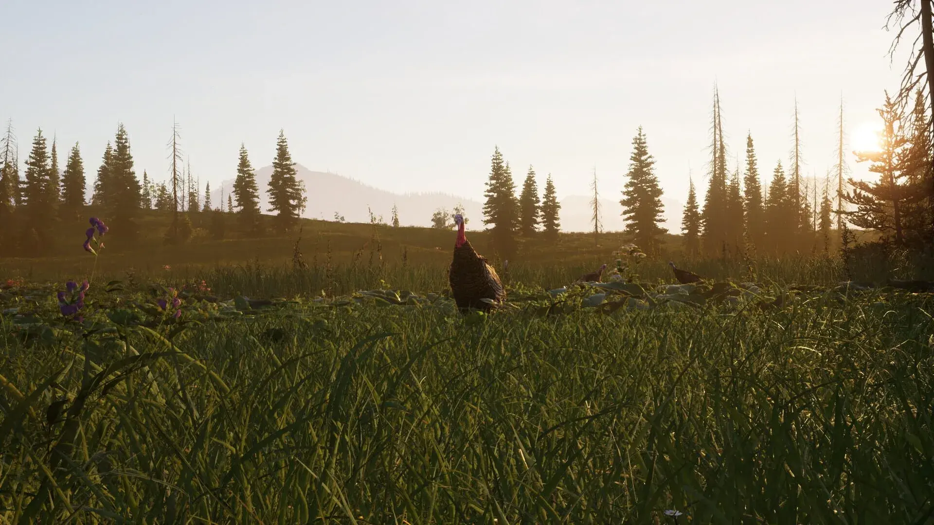 Way of the Hunter 2 - główny screenshot z gry