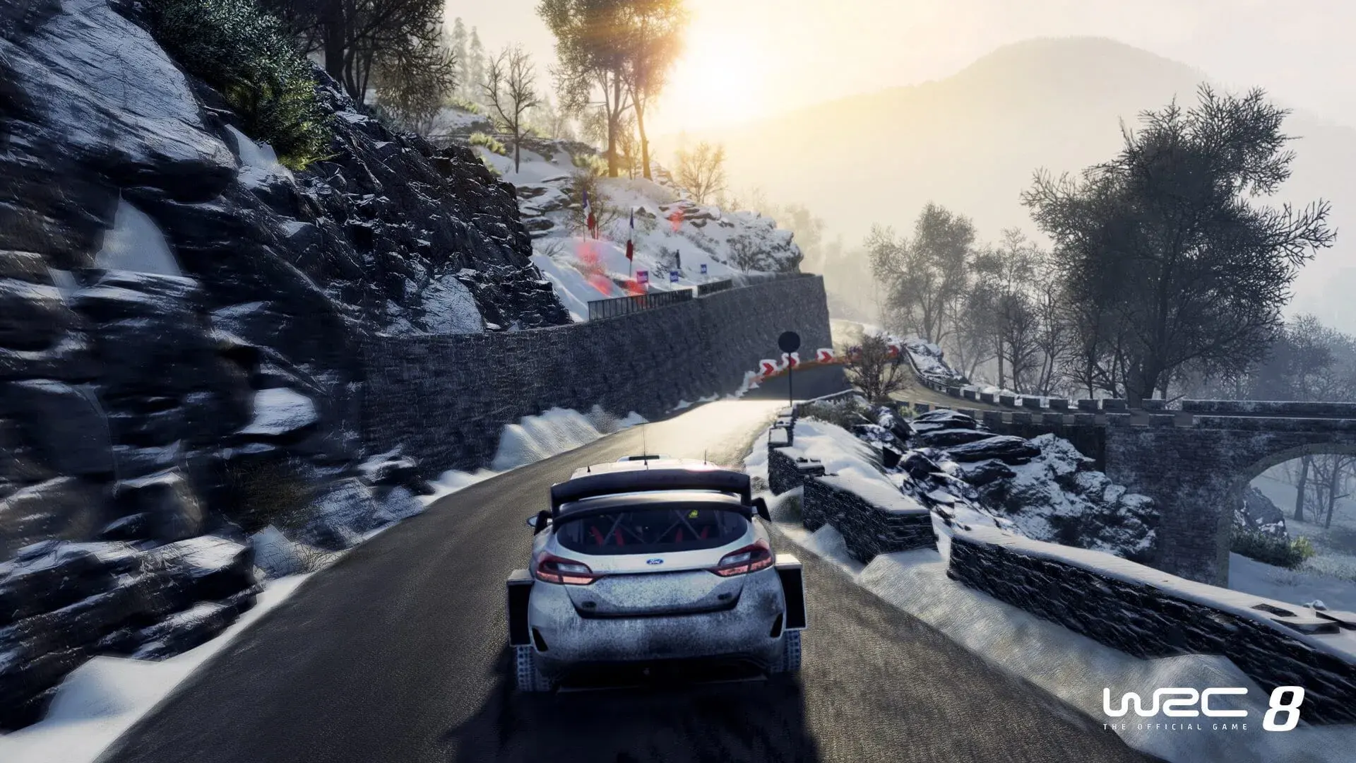 WRC 8 - akcja w grze