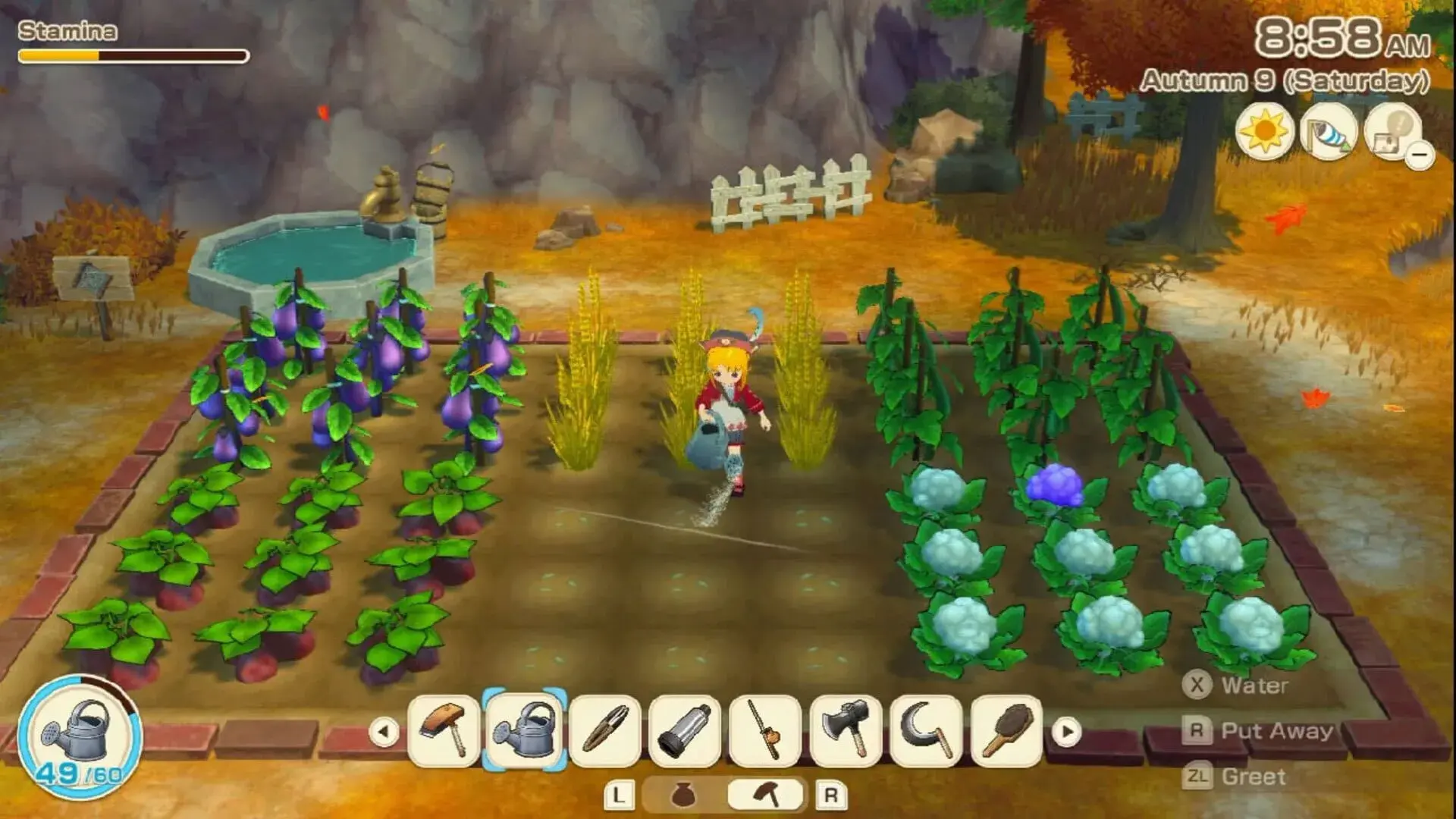 Story of Seasons: Grand Bazaar - Super Digital Deluxe Edition - obrazek z gry