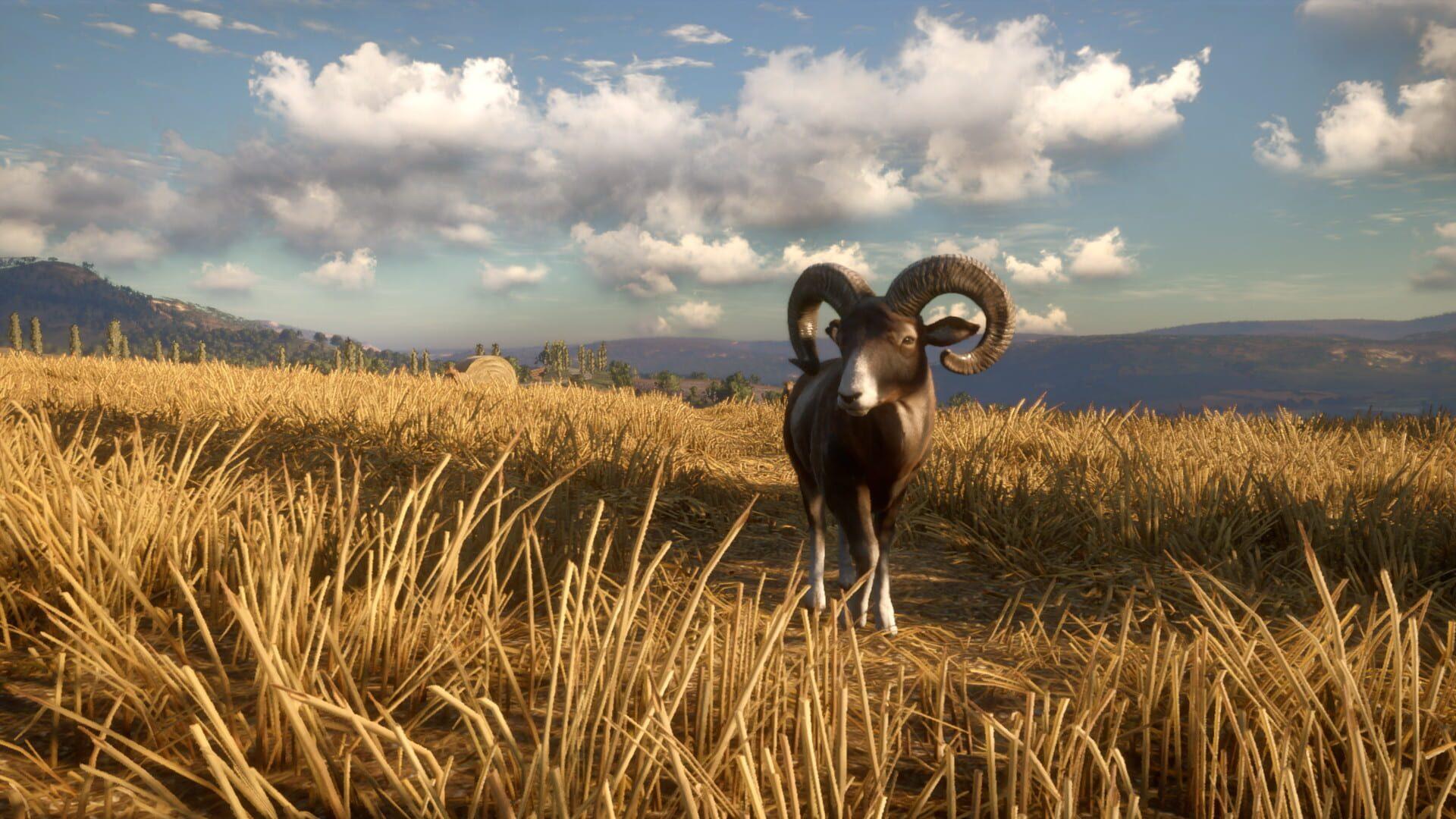 TheHunter: Call of the Wild - Cuatro Colinas Game Reserve - główny screenshot z gry