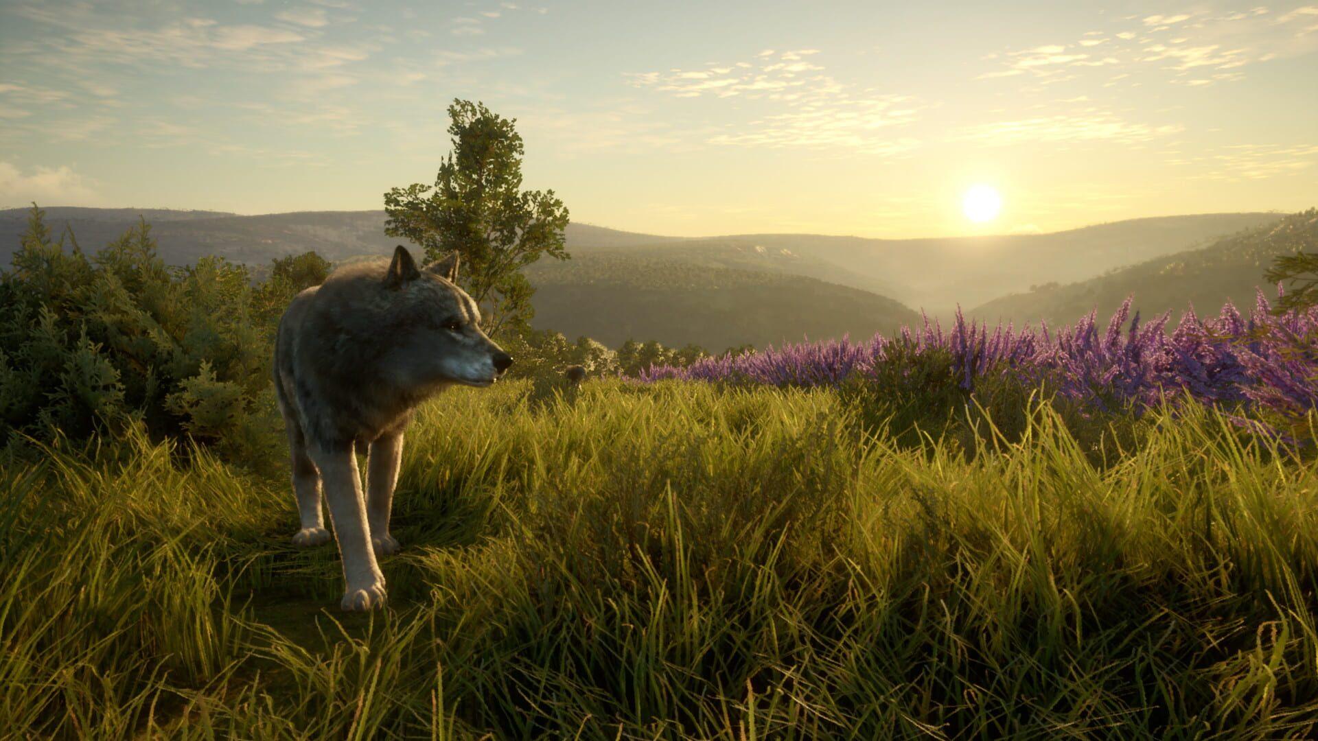 TheHunter: Call of the Wild - Cuatro Colinas Game Reserve - gameplay screenshot