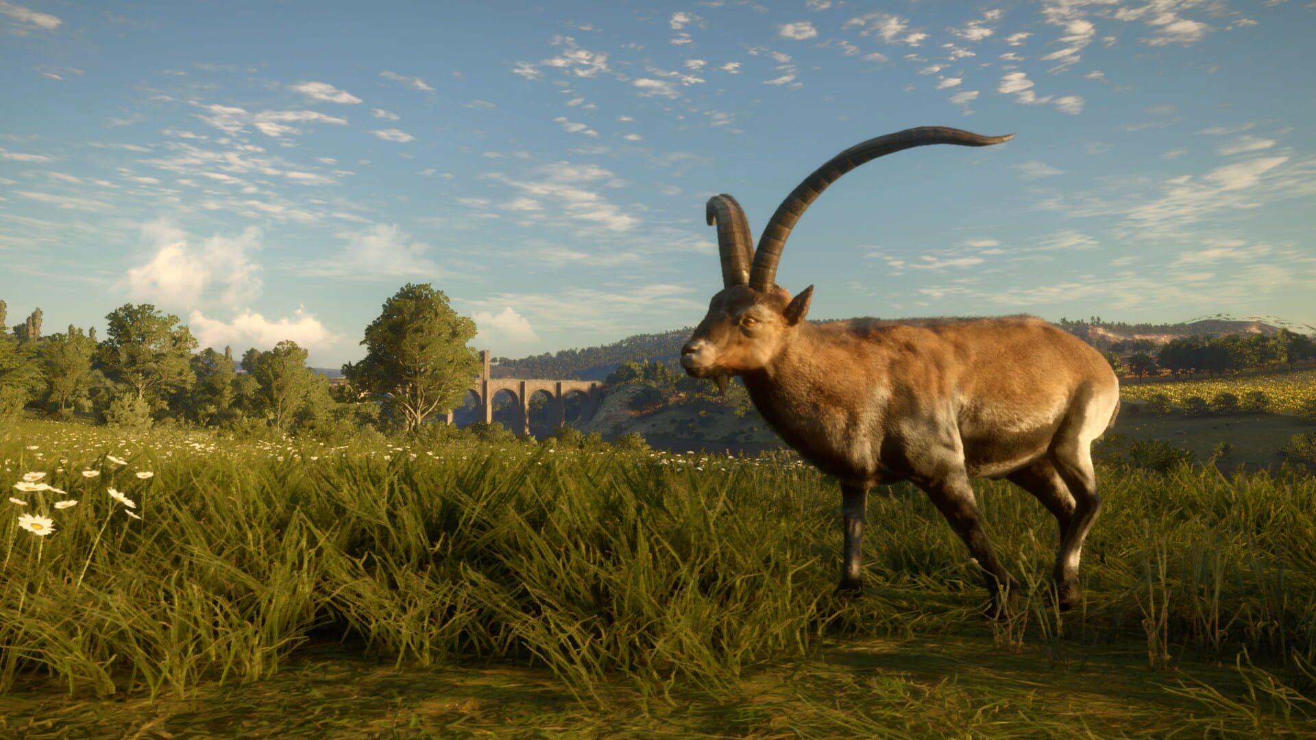 TheHunter: Call of the Wild - Cuatro Colinas Game Reserve - świat gry, lokacja