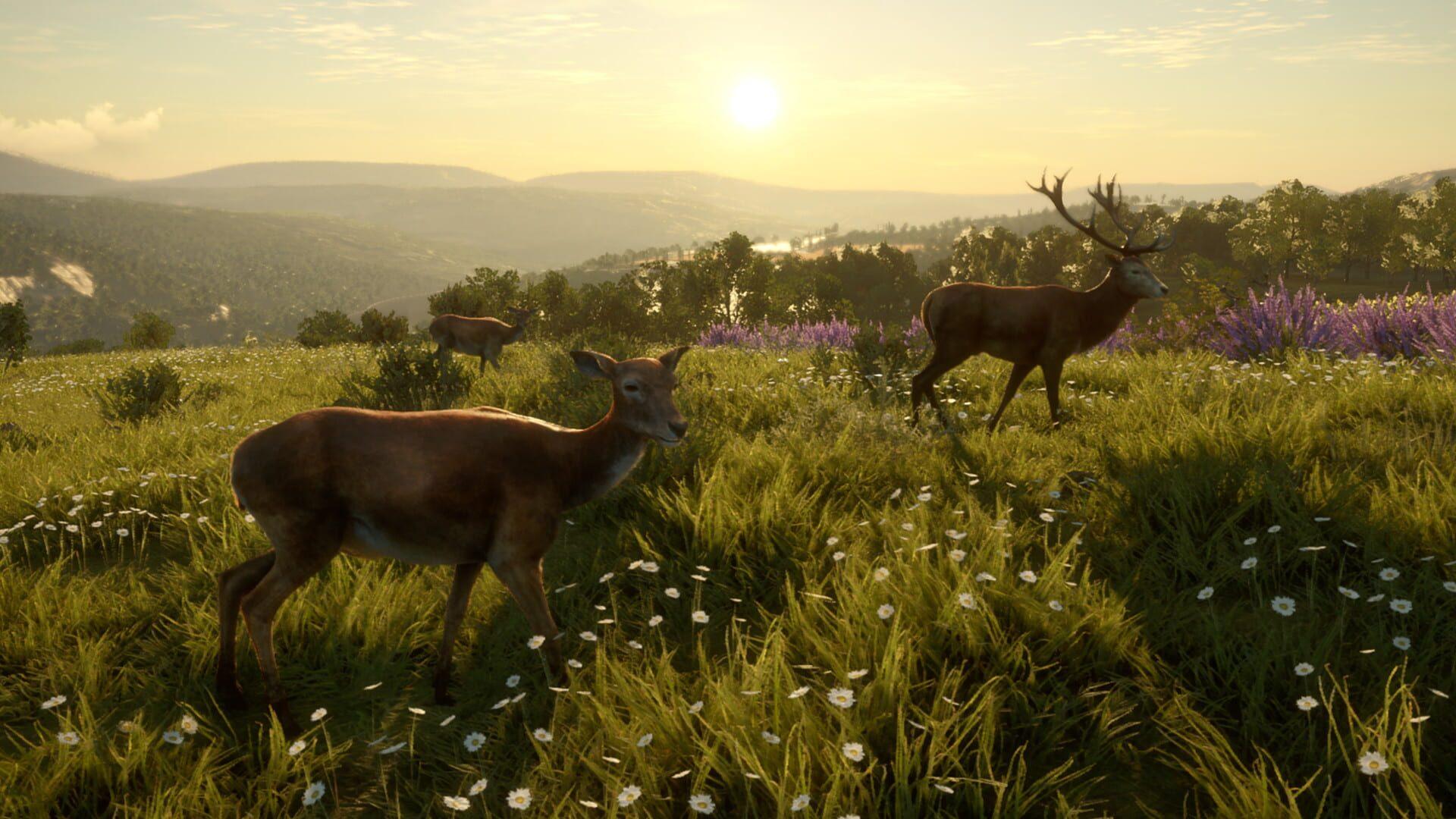 TheHunter: Call of the Wild - Cuatro Colinas Game Reserve - obrazek z gry