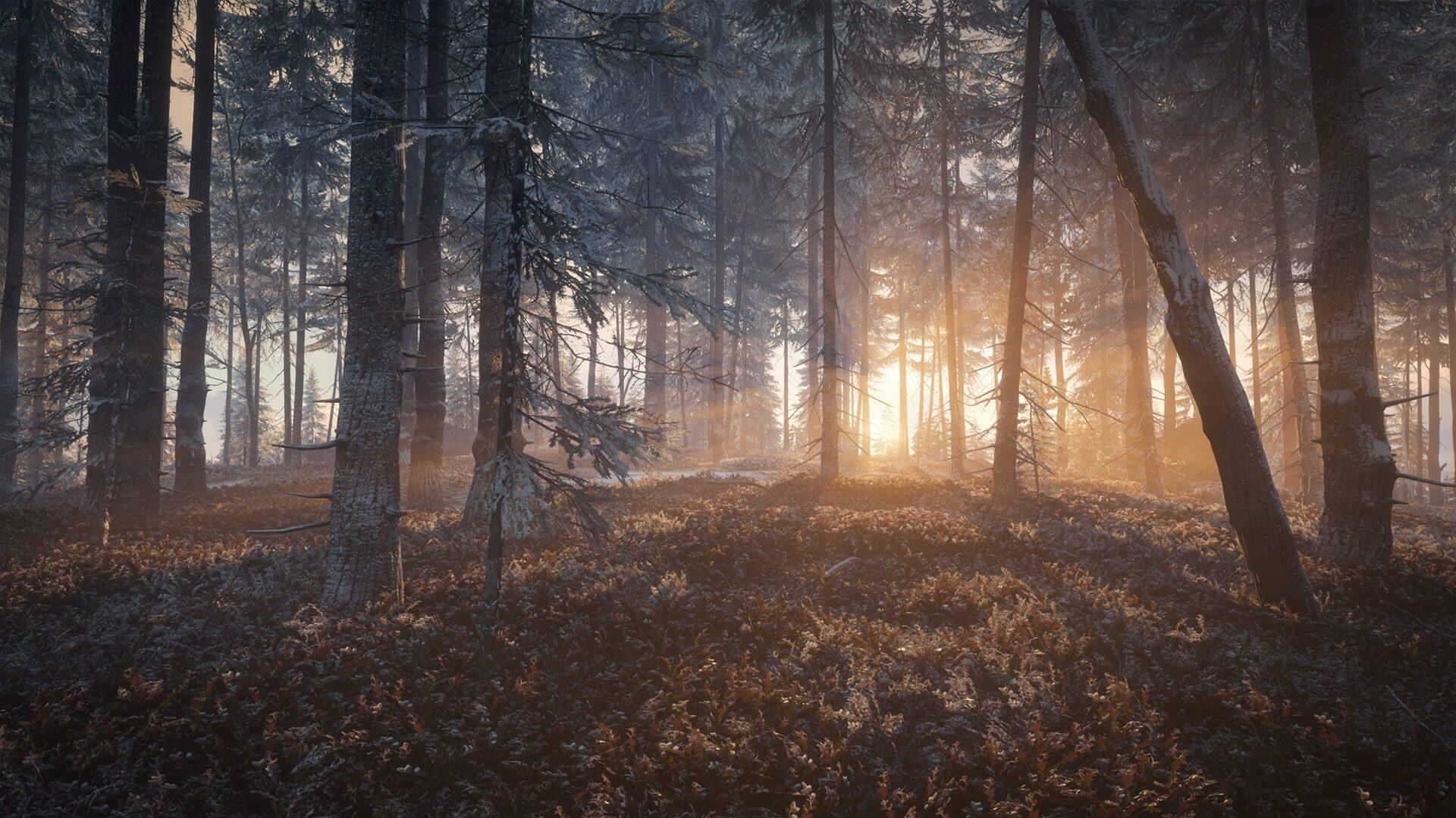TheHunter: Call of the Wild - Medved-Taiga - gameplay screenshot