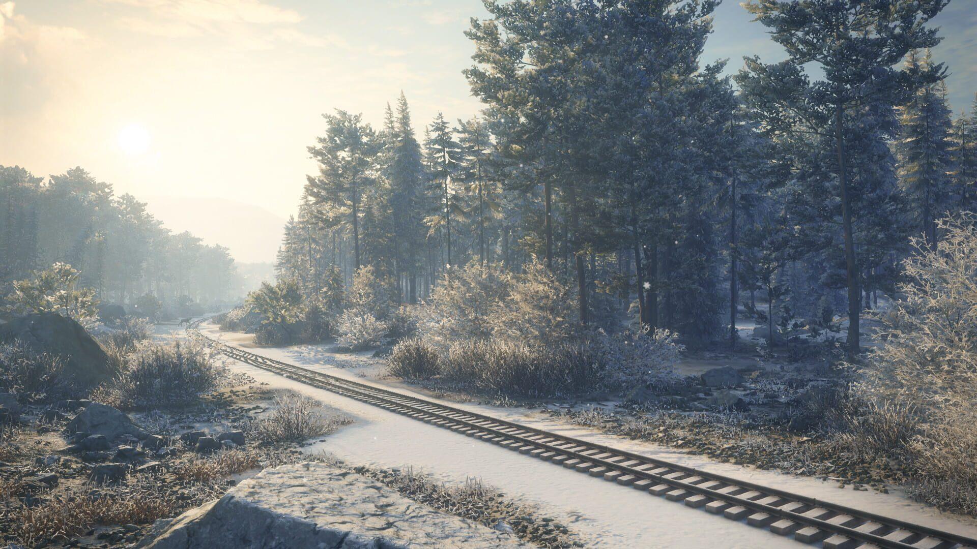 TheHunter: Call of the Wild - Medved-Taiga - świat gry, lokacja
