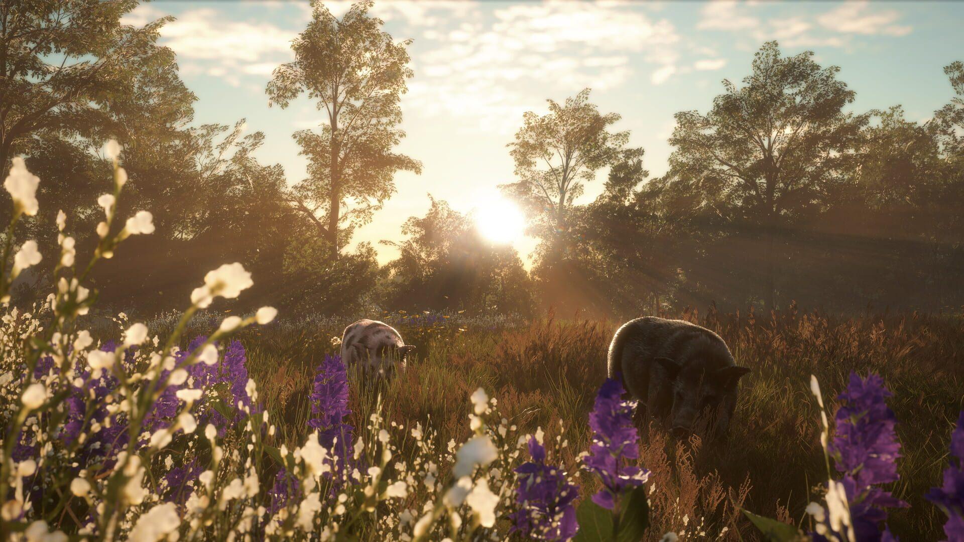 TheHunter: Call of the Wild - Mississippi Acres Preserve - główny screenshot z gry