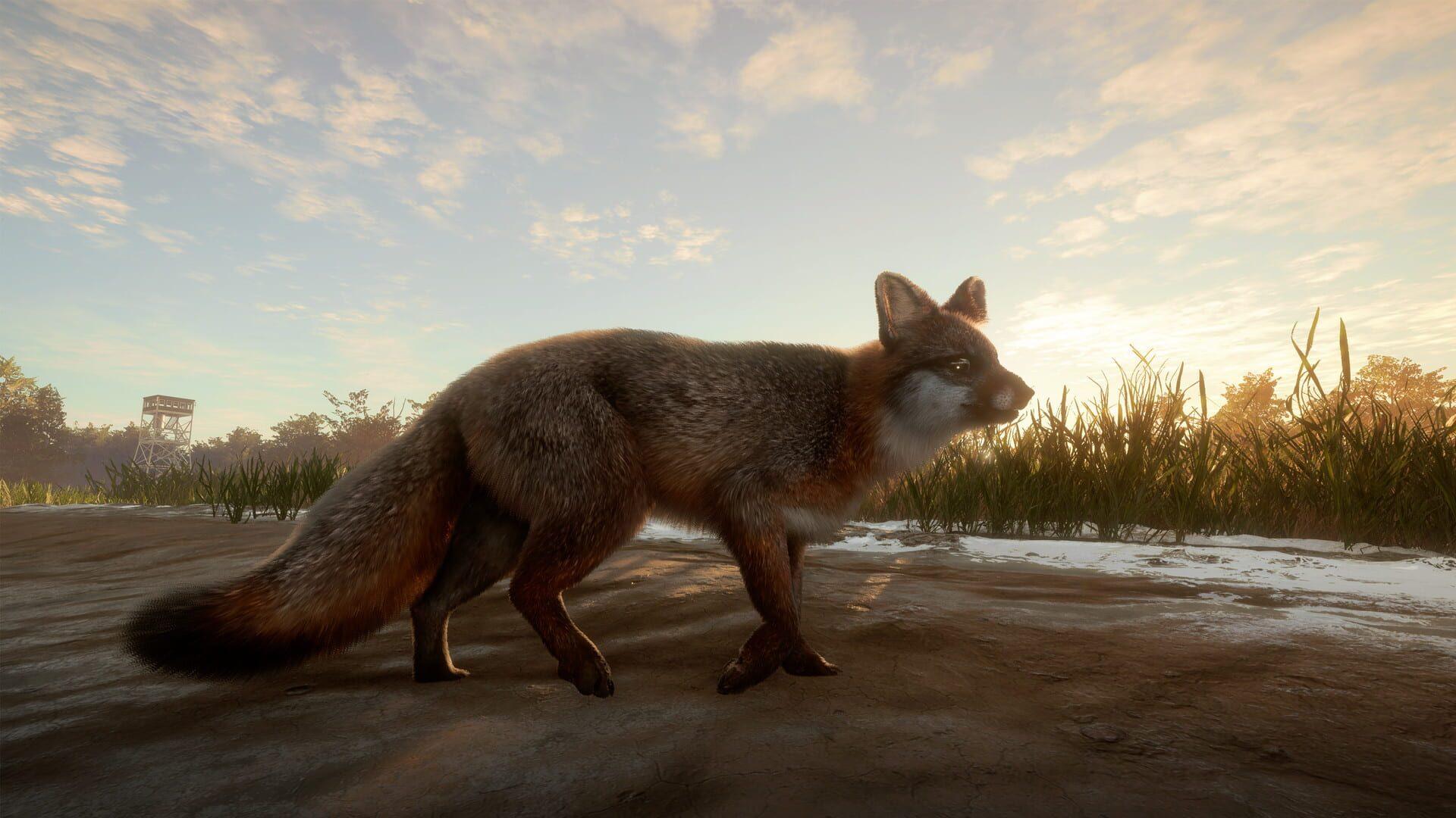 TheHunter: Call of the Wild - Mississippi Acres Preserve - świat gry, lokacja