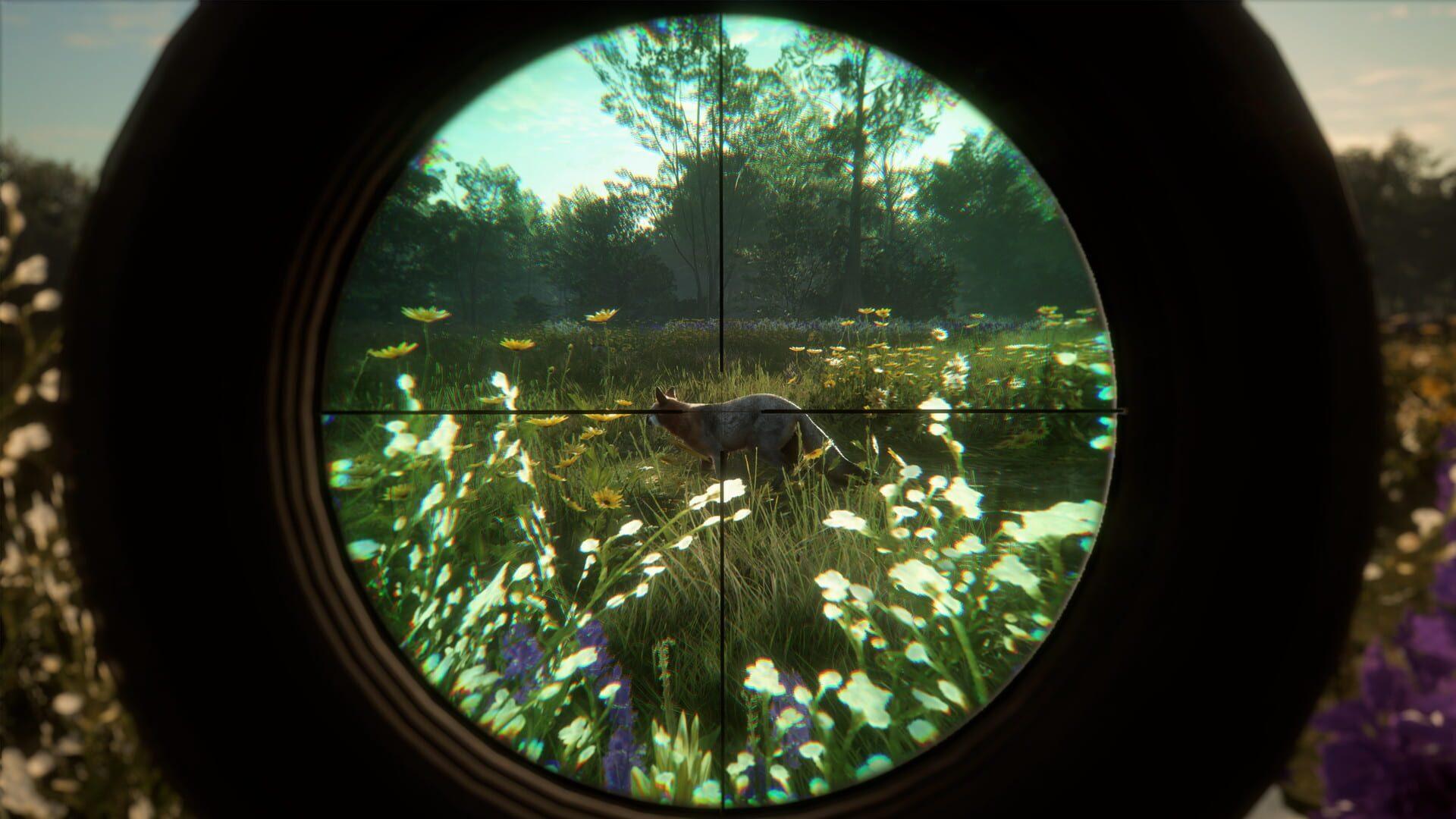 TheHunter: Call of the Wild - Mississippi Acres Preserve - screenshot wysokiej jakości