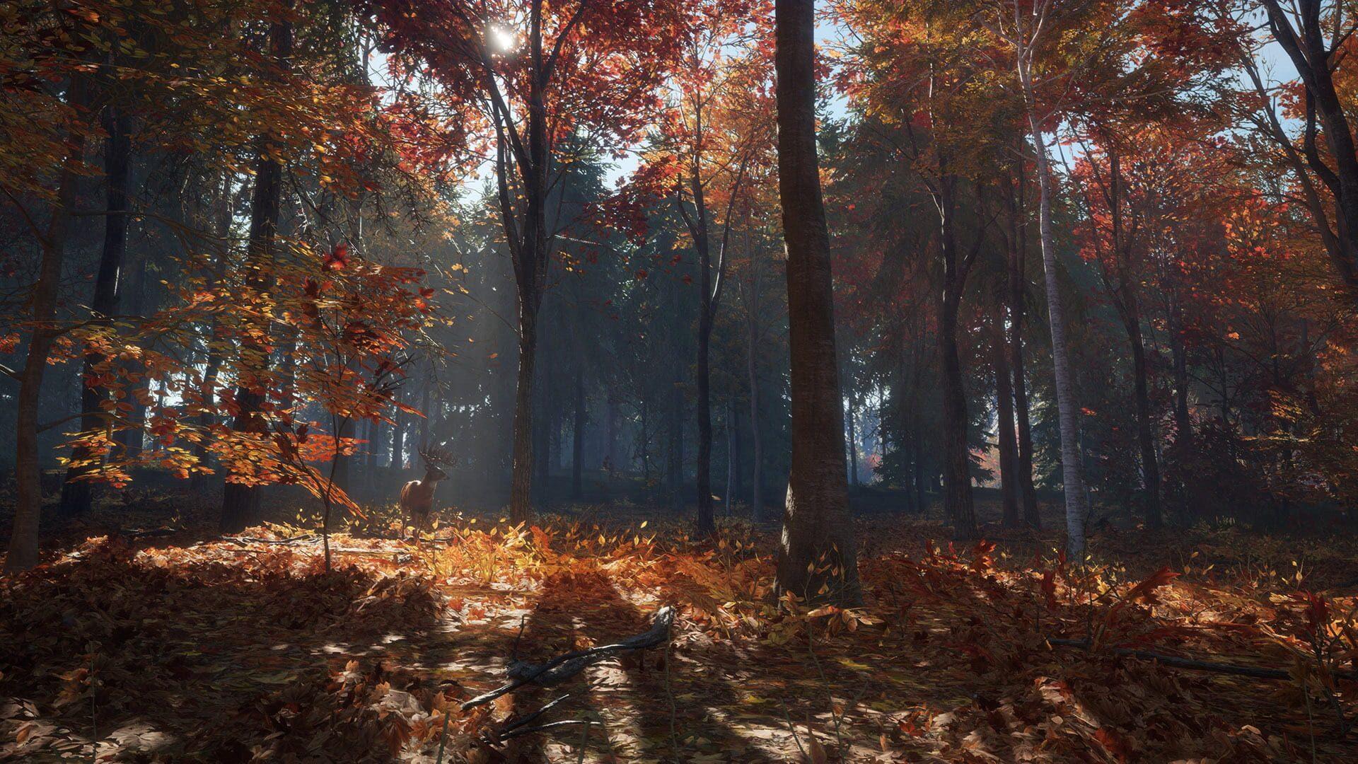 TheHunter: Call of the Wild - New England Mountains - główny screenshot z gry
