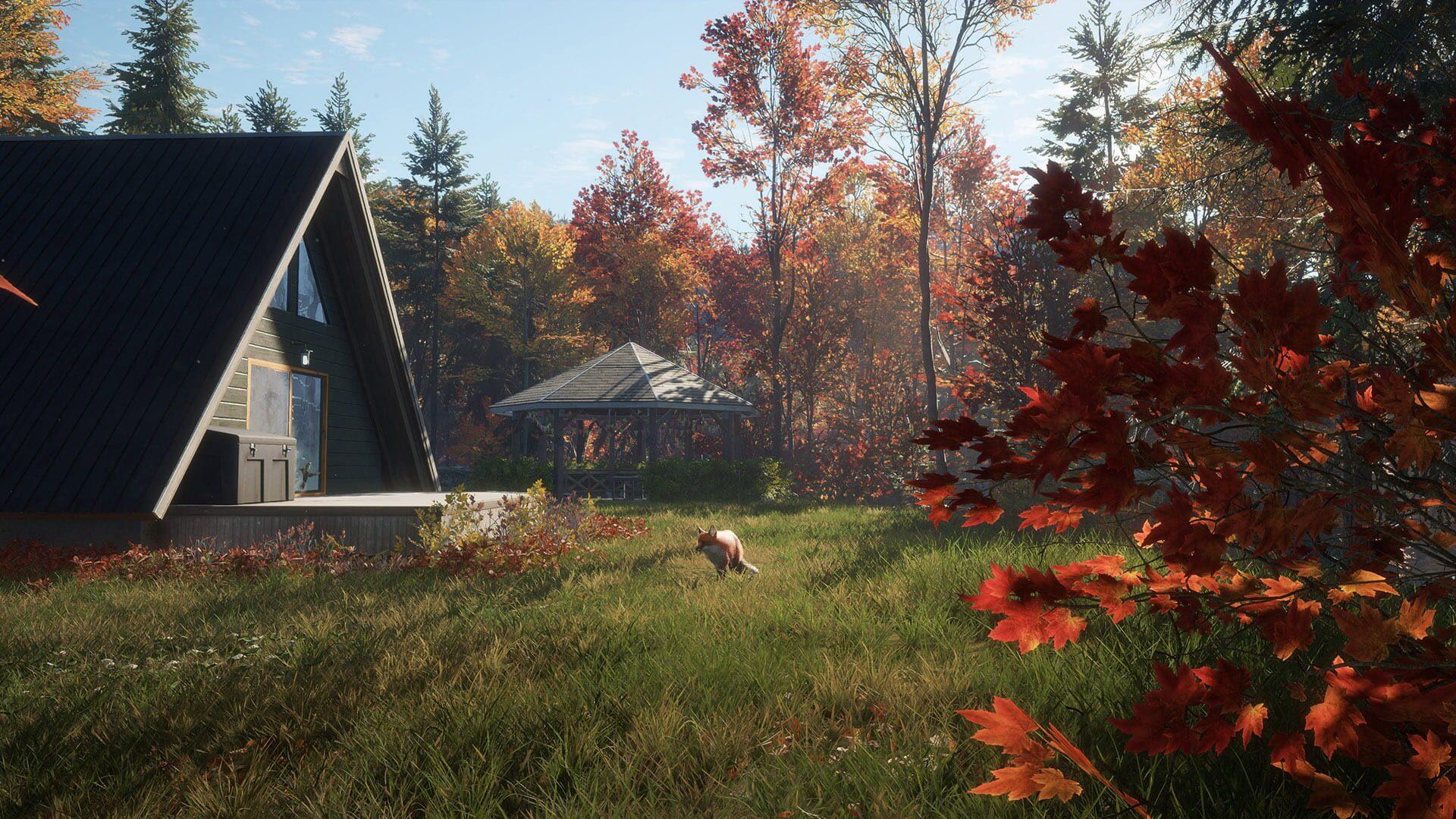 TheHunter: Call of the Wild - New England Mountains - obrazek z gry