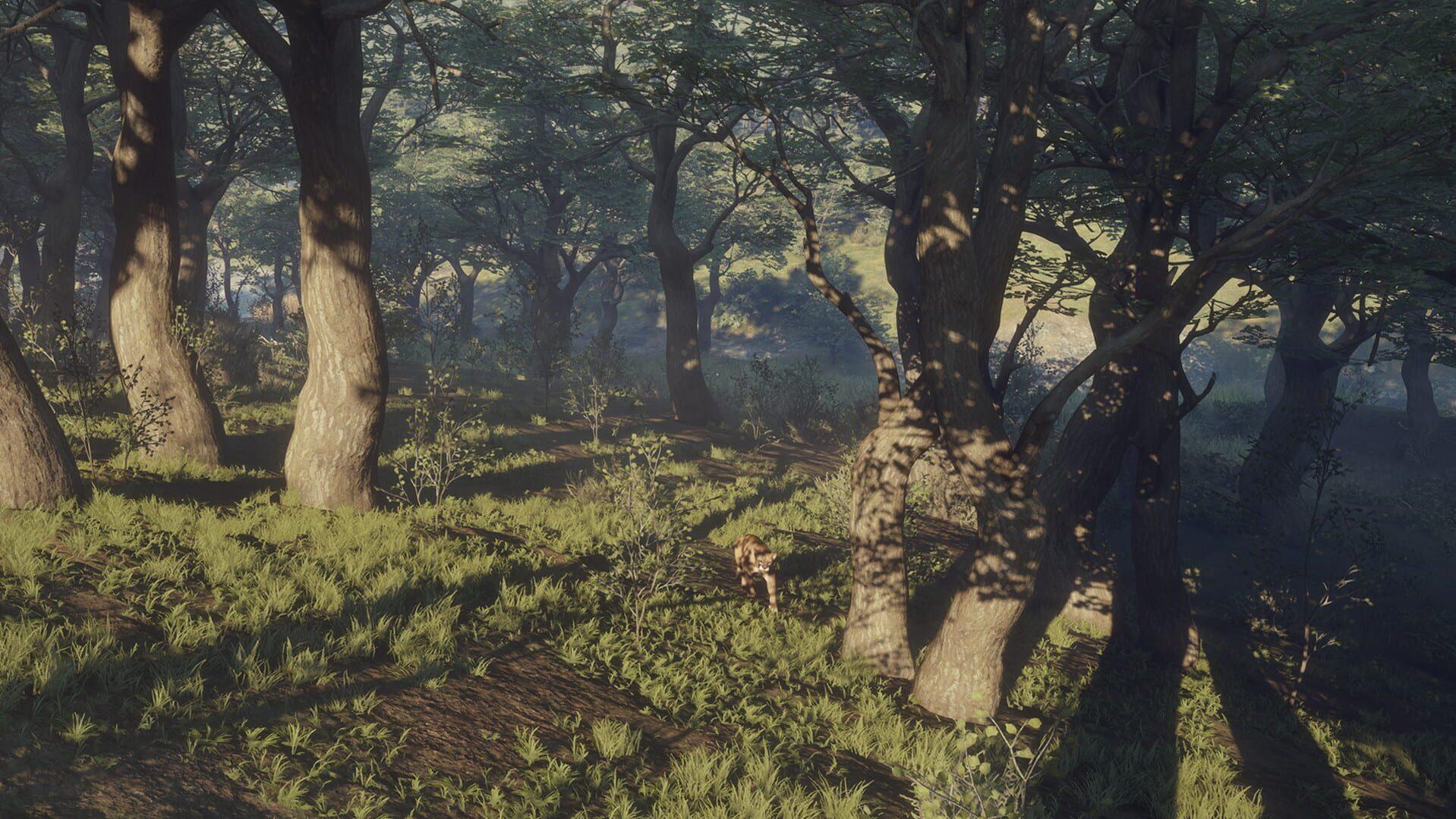 TheHunter: Call of the Wild - Parque Fernando - obrazek z gry
