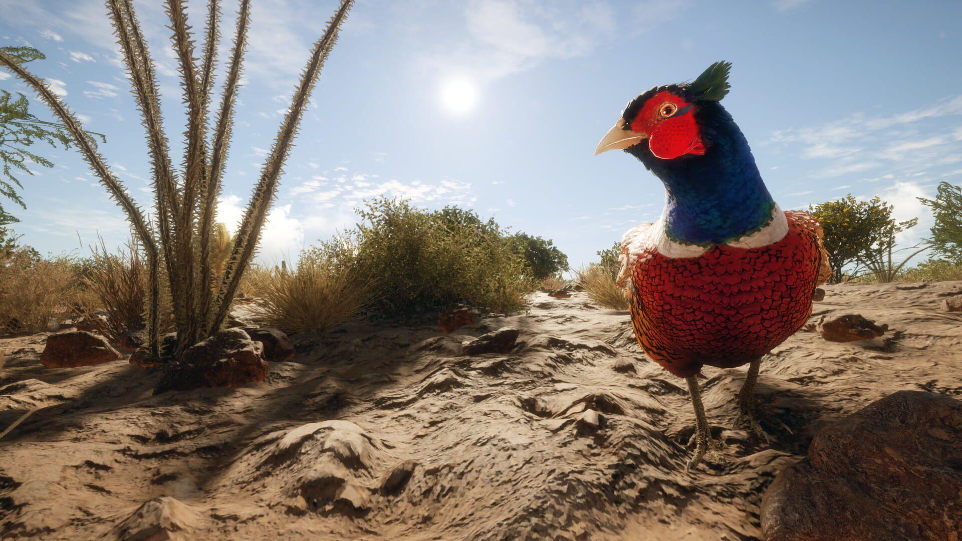 TheHunter: Call of the Wild - Rancho del Arroyo - gameplay screenshot