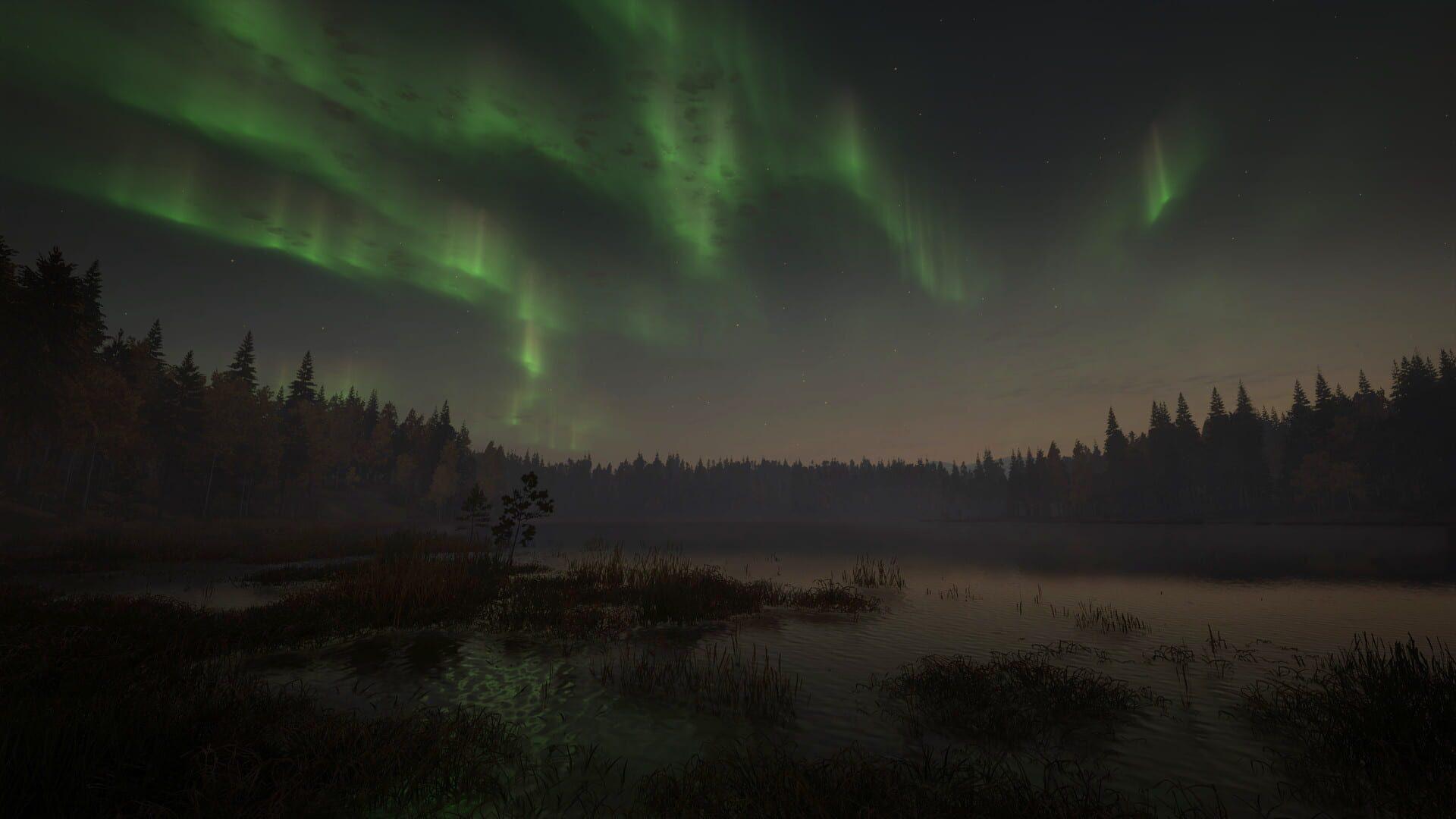TheHunter: Call of the Wild - Revontuli Coast - screenshot wysokiej jakości
