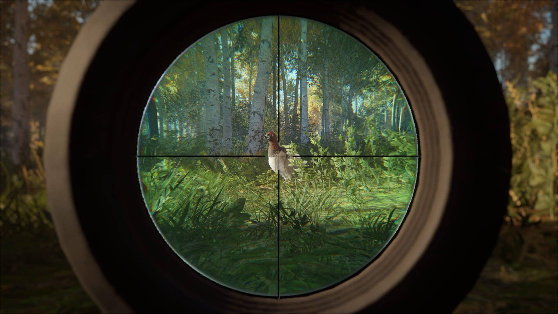 TheHunter: Call of the Wild - Revontuli Coast - obrazek z gry
