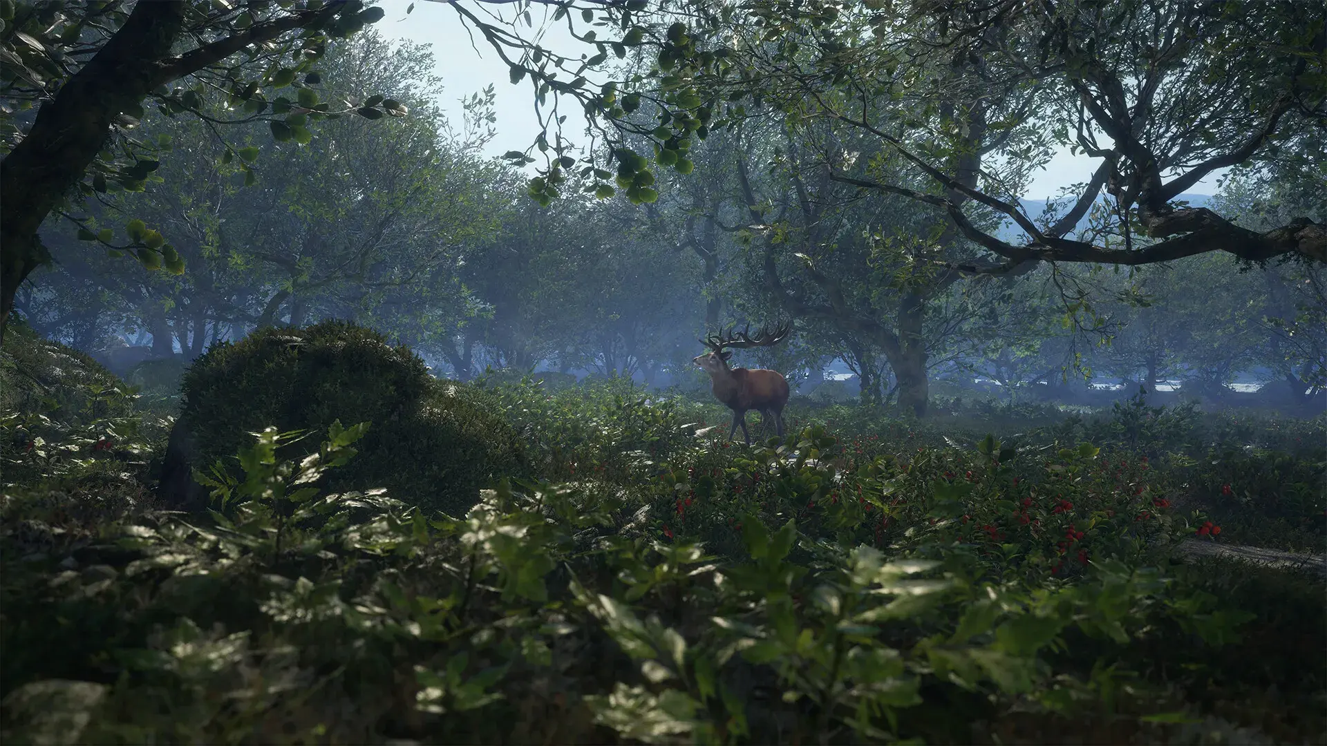 theHunter: Call of the Wild - Scotland Hunting Reserve - zrzut ekranu 3