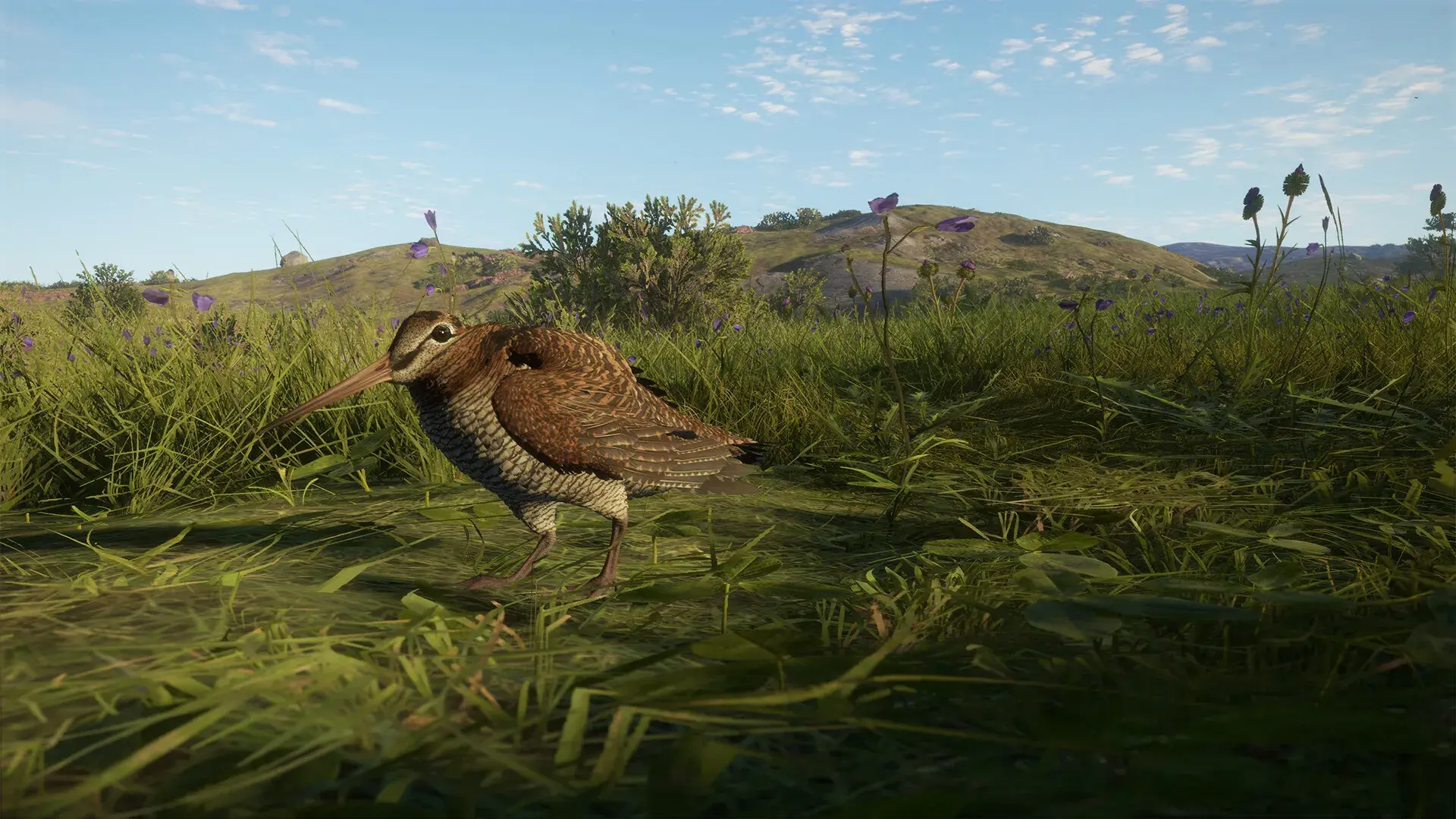 theHunter: Call of the Wild - Scotland Hunting Reserve - zrzut ekranu 6