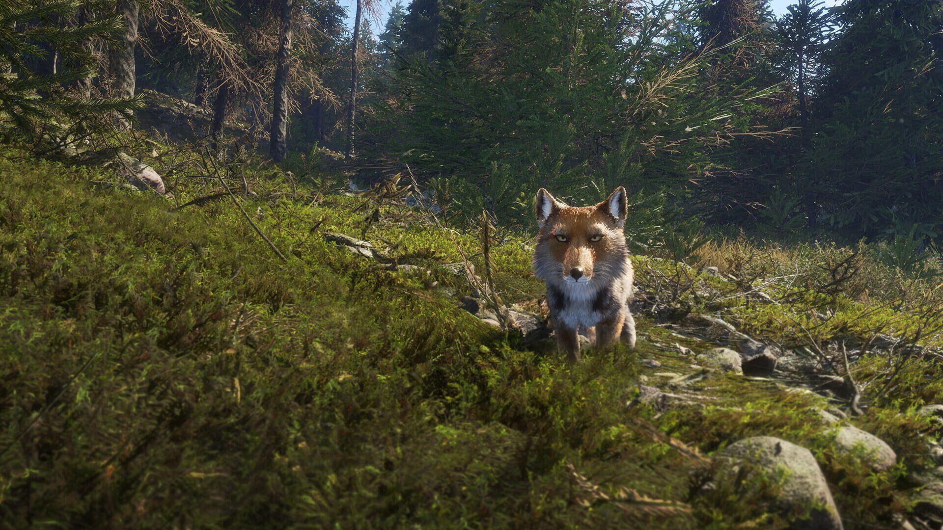 TheHunter: Call of the Wild - Sundarpatan Nepal Hunting Reserve - screenshot wysokiej jakości